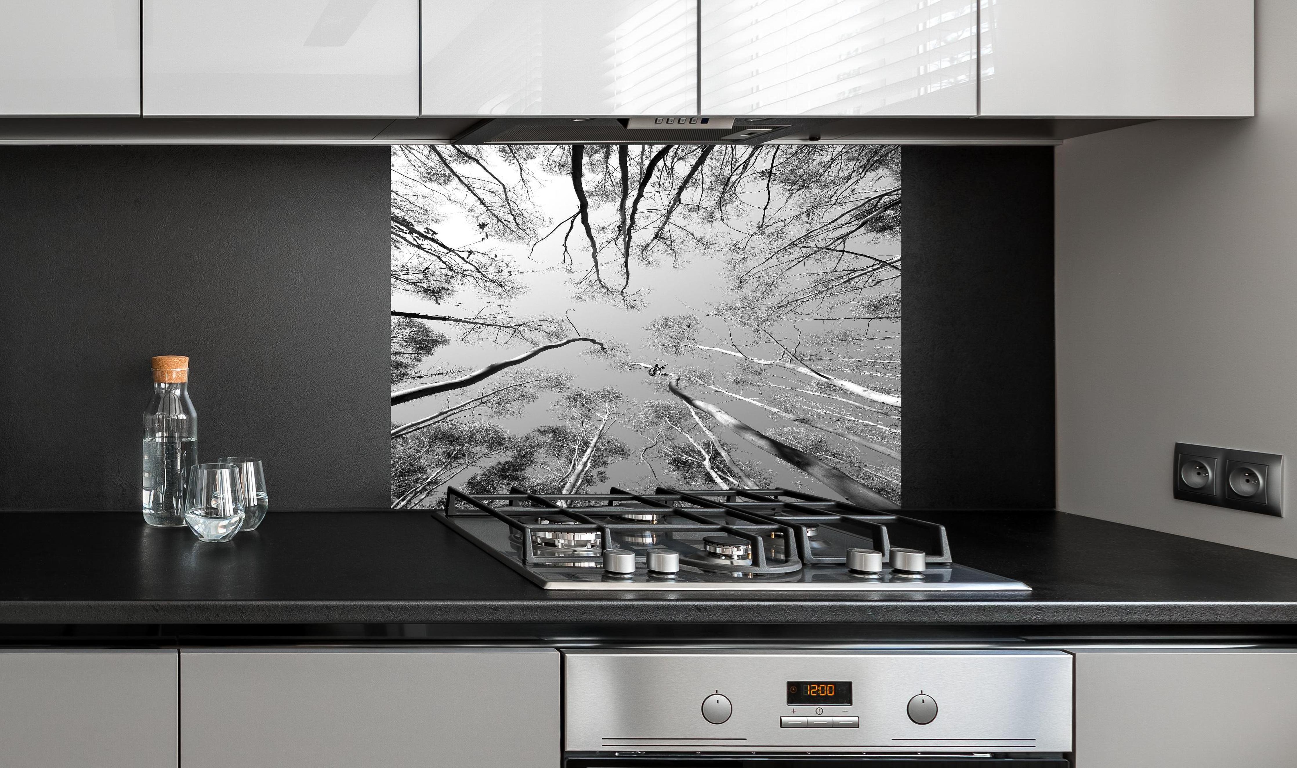 Spritzschutz - Birkenwald im Winter von unten hinter einem Cerankochfeld zwischen Holz-Kochutensilien