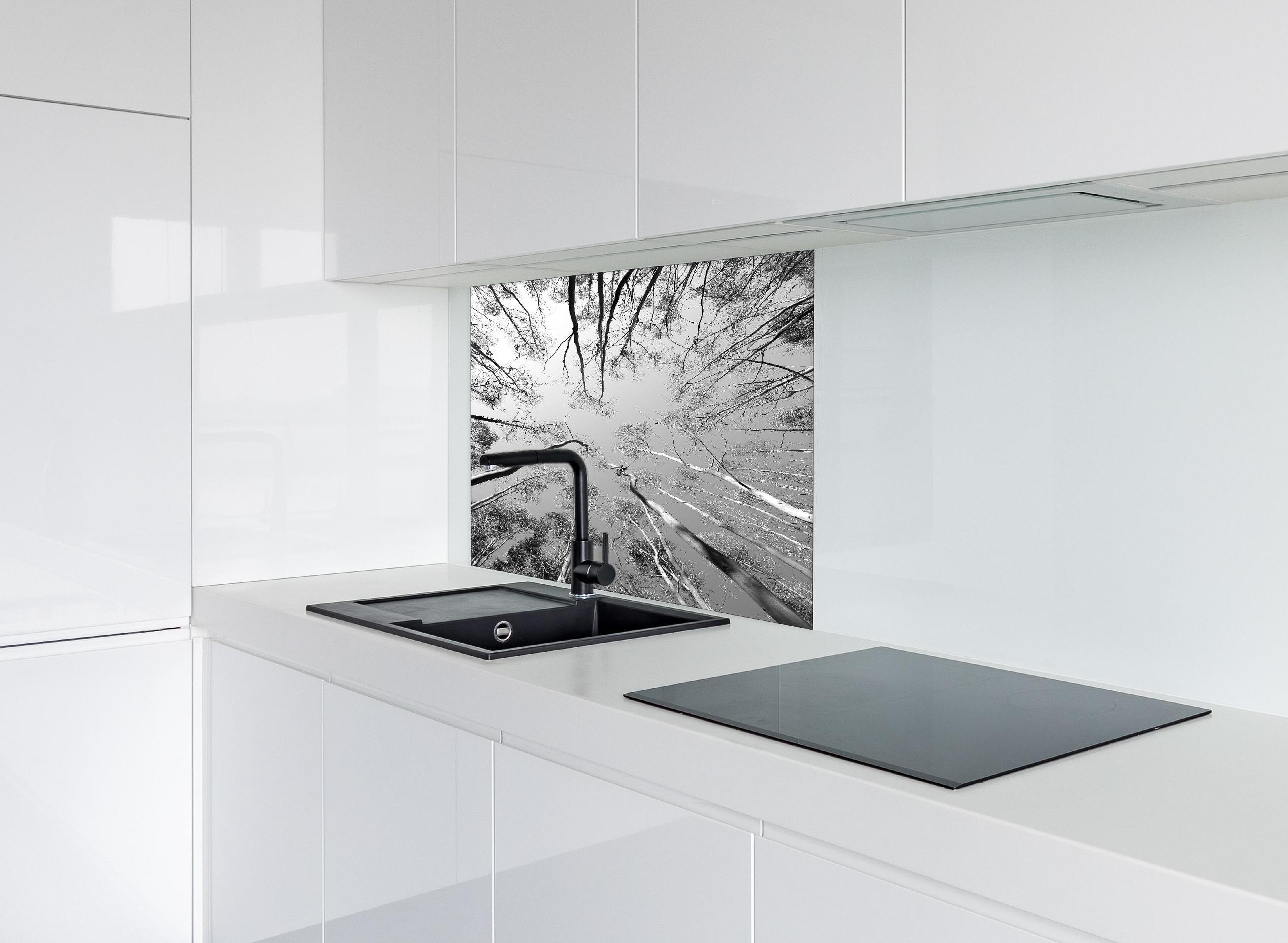 Spritzschutz - Birkenwald im Winter von unten hinter einem Cerankochfeld zwischen Holz-Kochutensilien