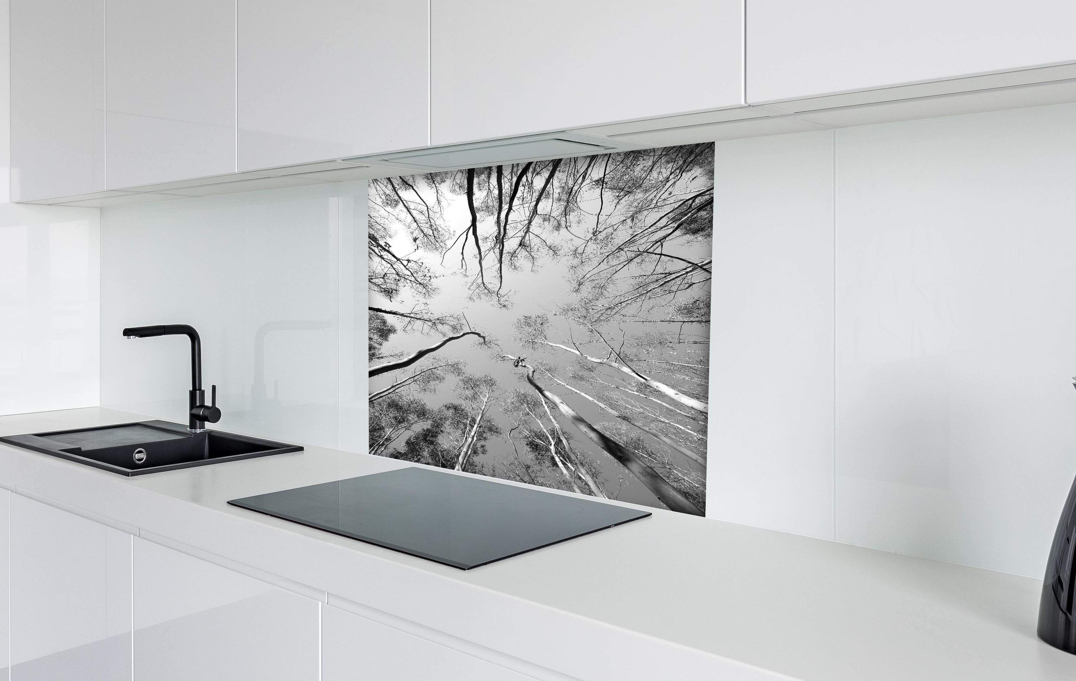 Spritzschutz - Birkenwald im Winter von unten hinter einem Cerankochfeld zwischen Holz-Kochutensilien