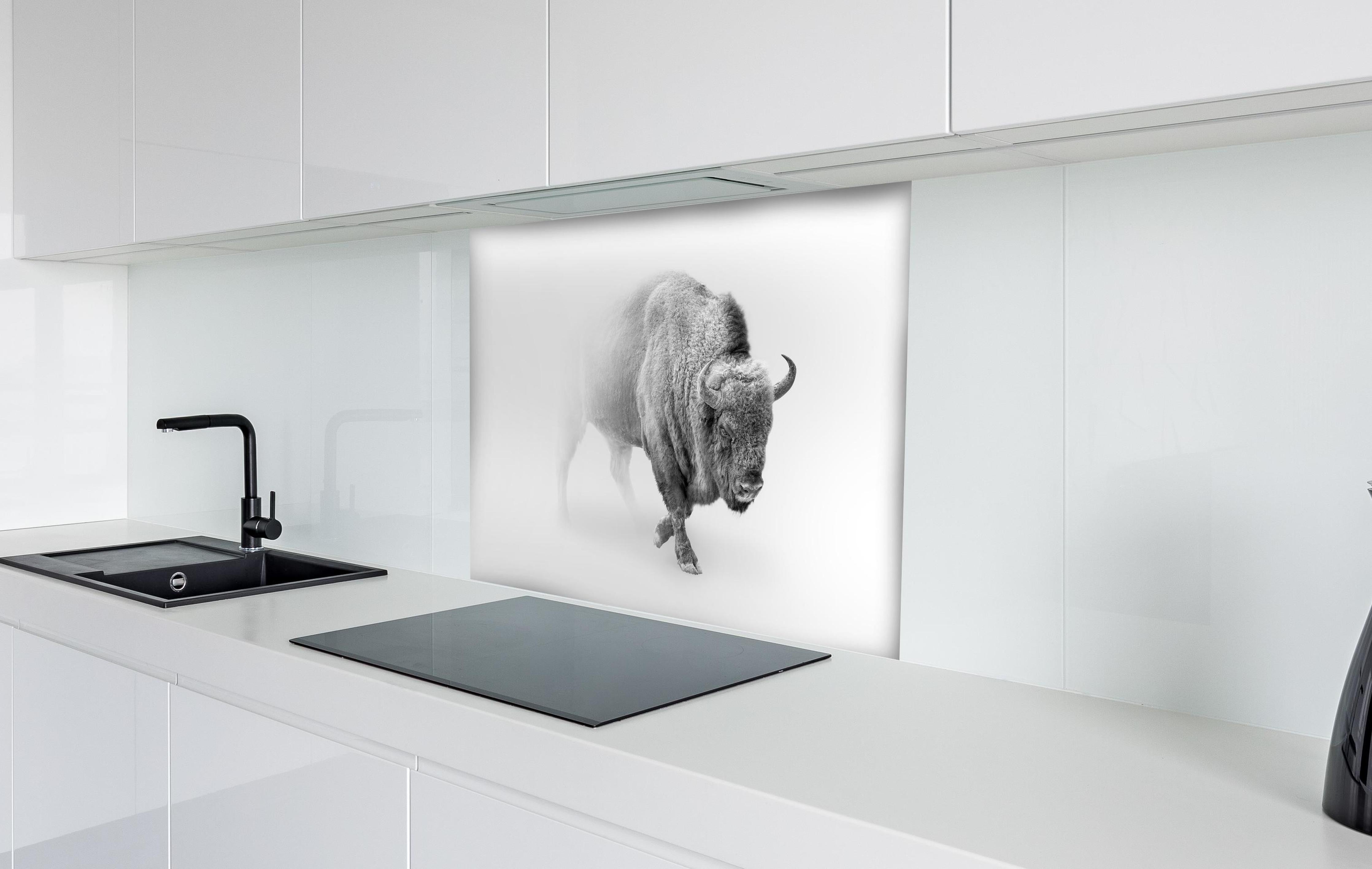 Spritzschutz - Bison Graustufenbild hinter einem Cerankochfeld zwischen Holz-Kochutensilien