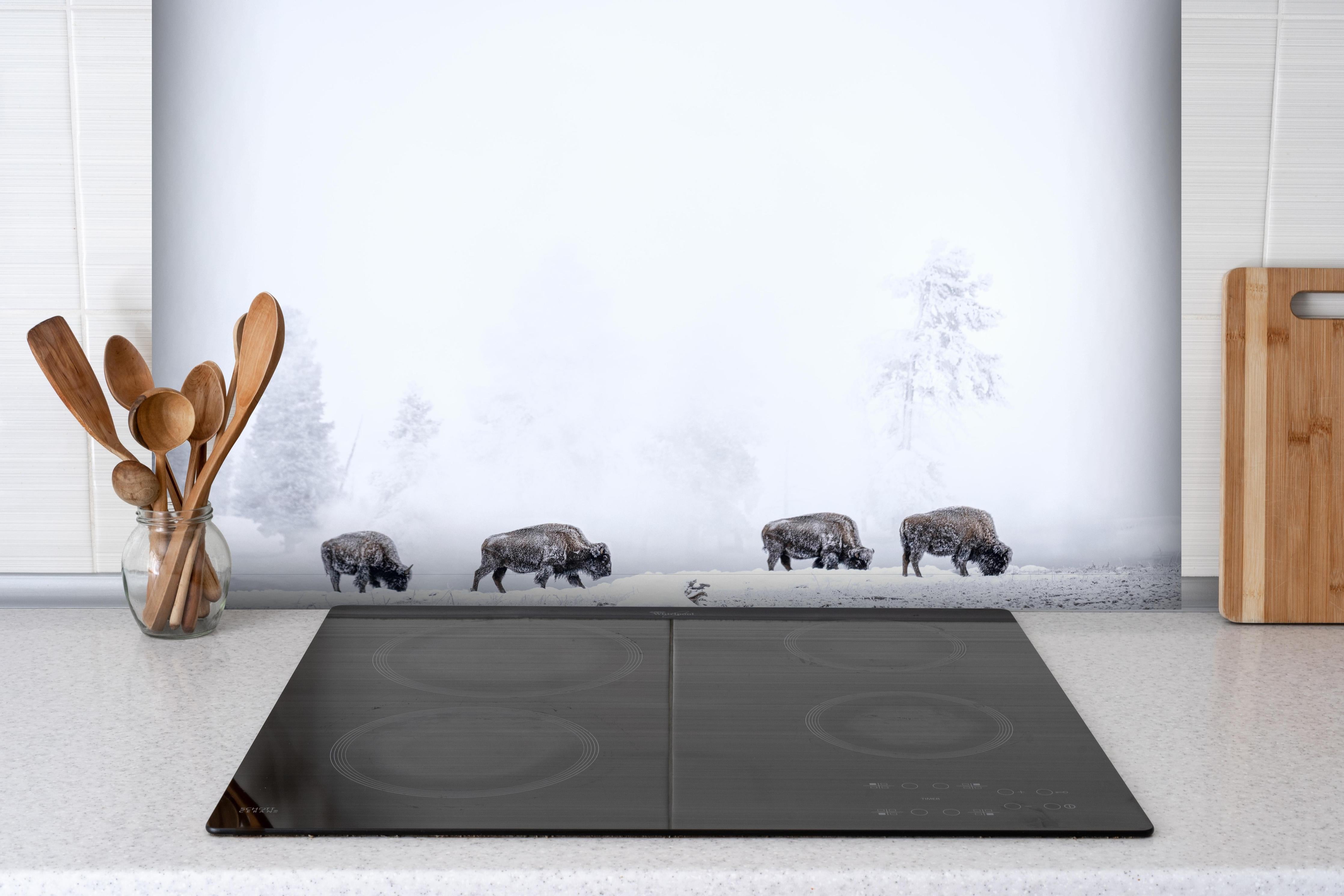 Spritzschutz - Bisons im kalten Wald hinter einem Cerankochfeld zwischen Holz-Kochutensilien