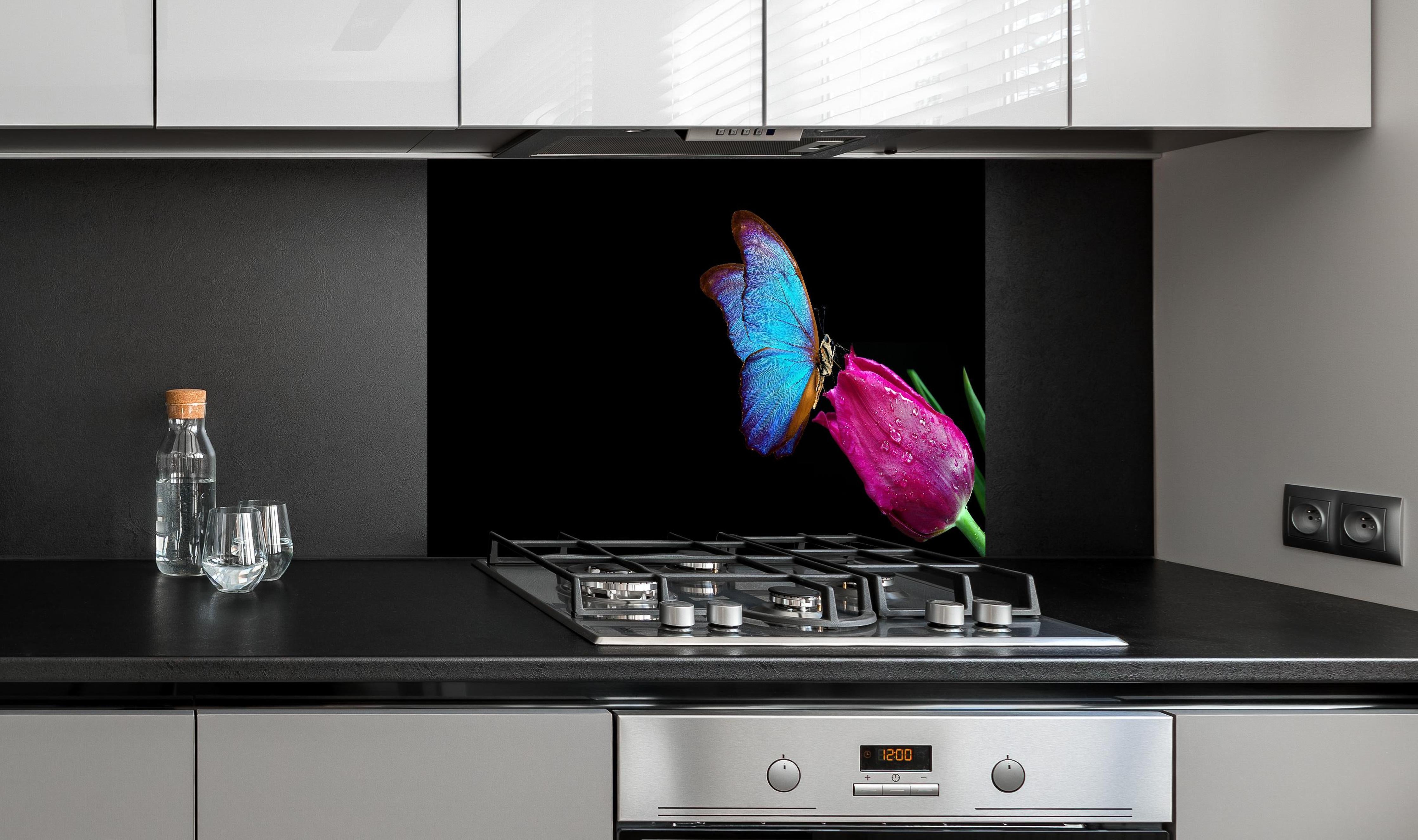 Spritzschutz - Blauer Morphofalter - schwarzer Hintergrund hinter einem Cerankochfeld zwischen Holz-Kochutensilien