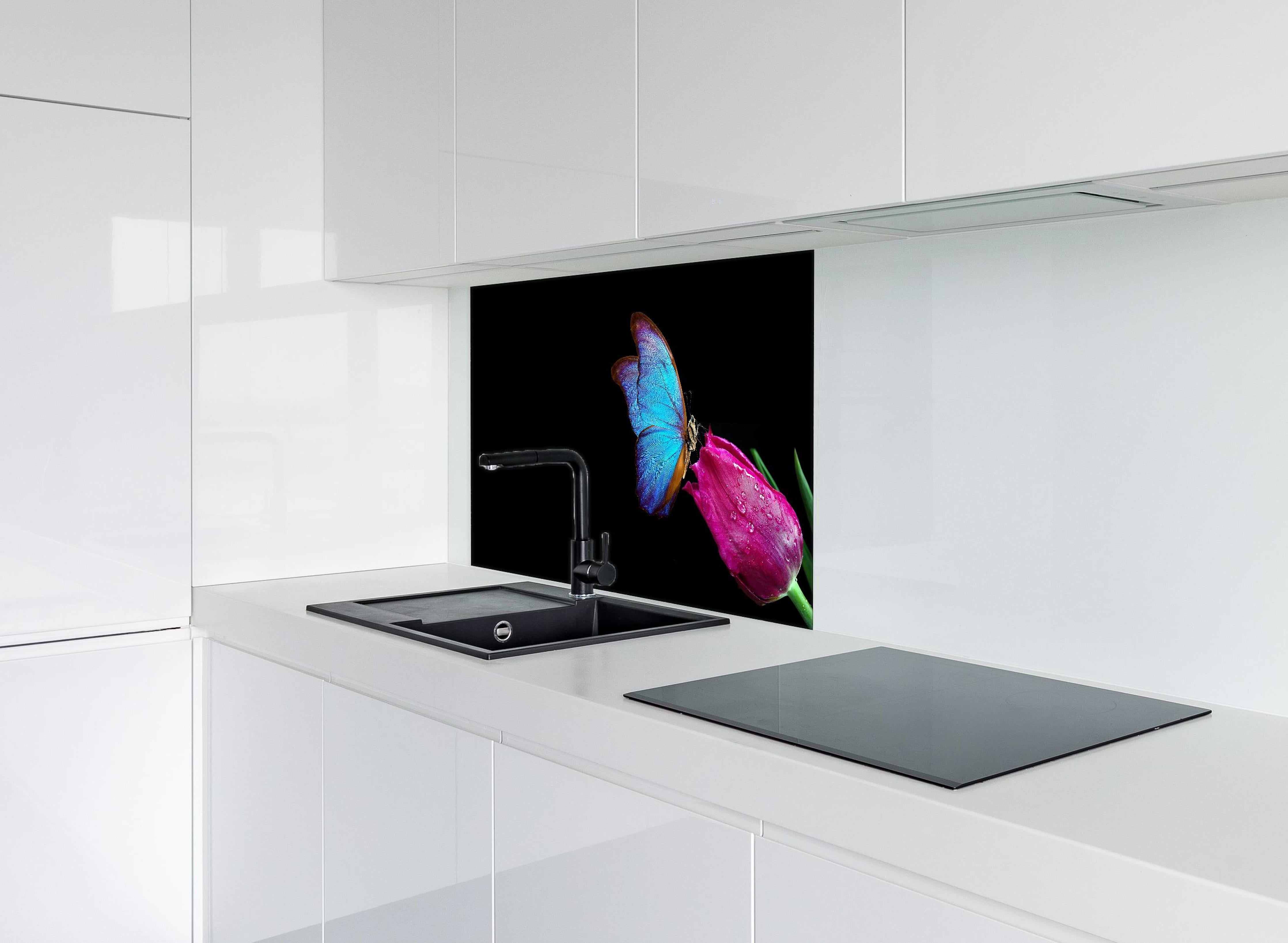 Spritzschutz - Blauer Morphofalter - schwarzer Hintergrund hinter einem Cerankochfeld zwischen Holz-Kochutensilien