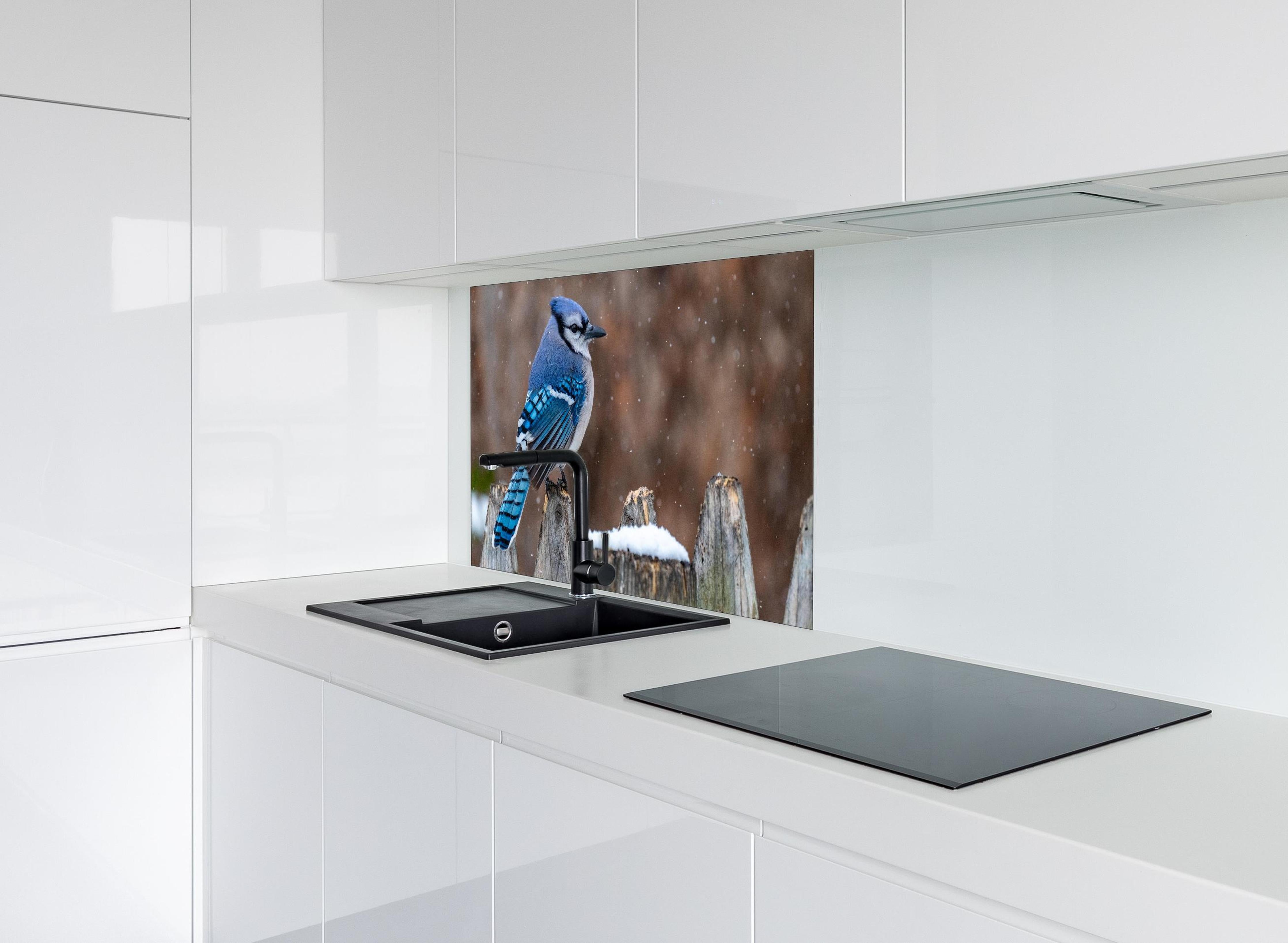 Spritzschutz - Blauhäher im Schnee hinter einem Cerankochfeld zwischen Holz-Kochutensilien