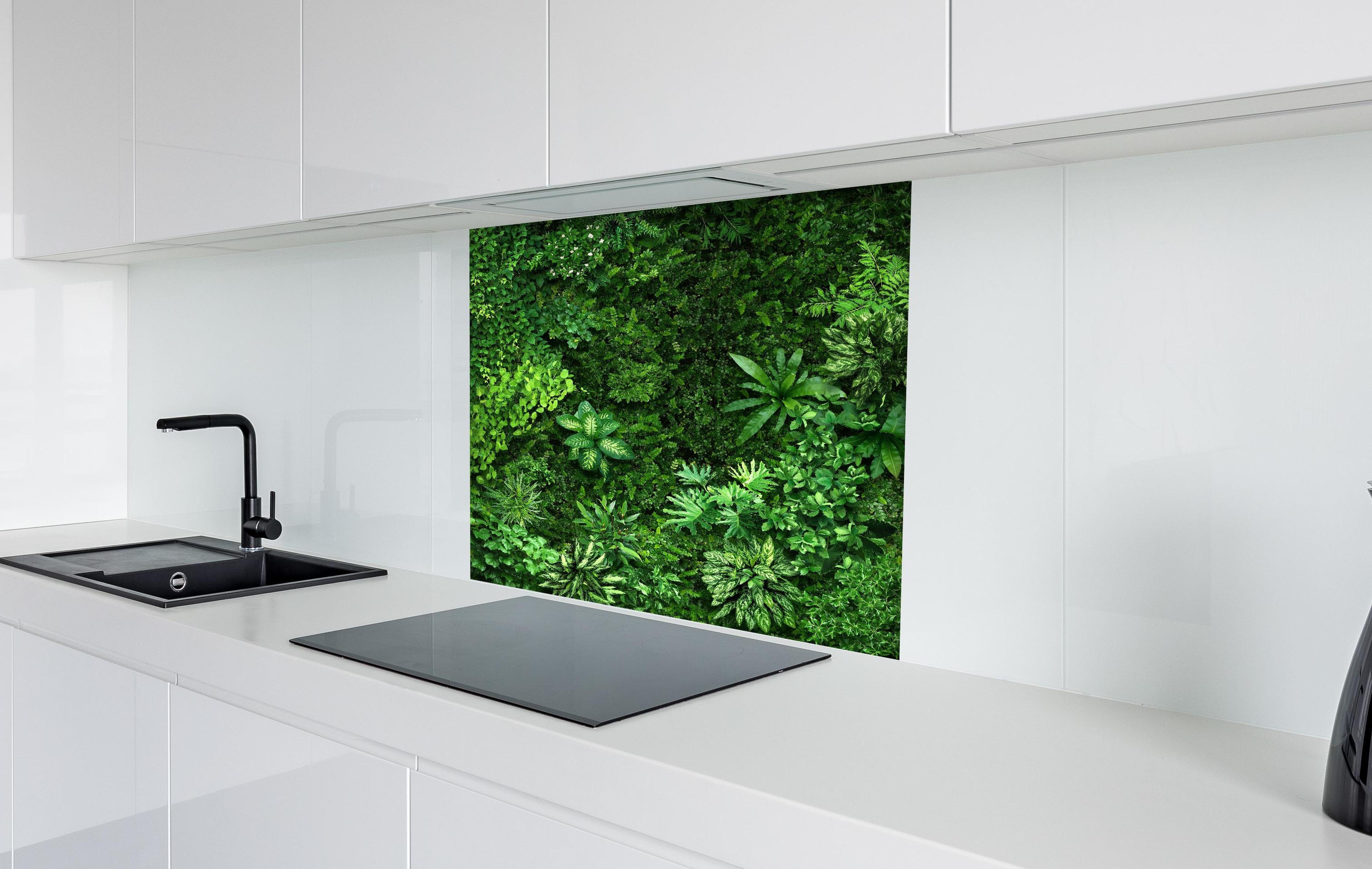 Spritzschutz - Blick auf organischen Wald hinter einem Cerankochfeld zwischen Holz-Kochutensilien