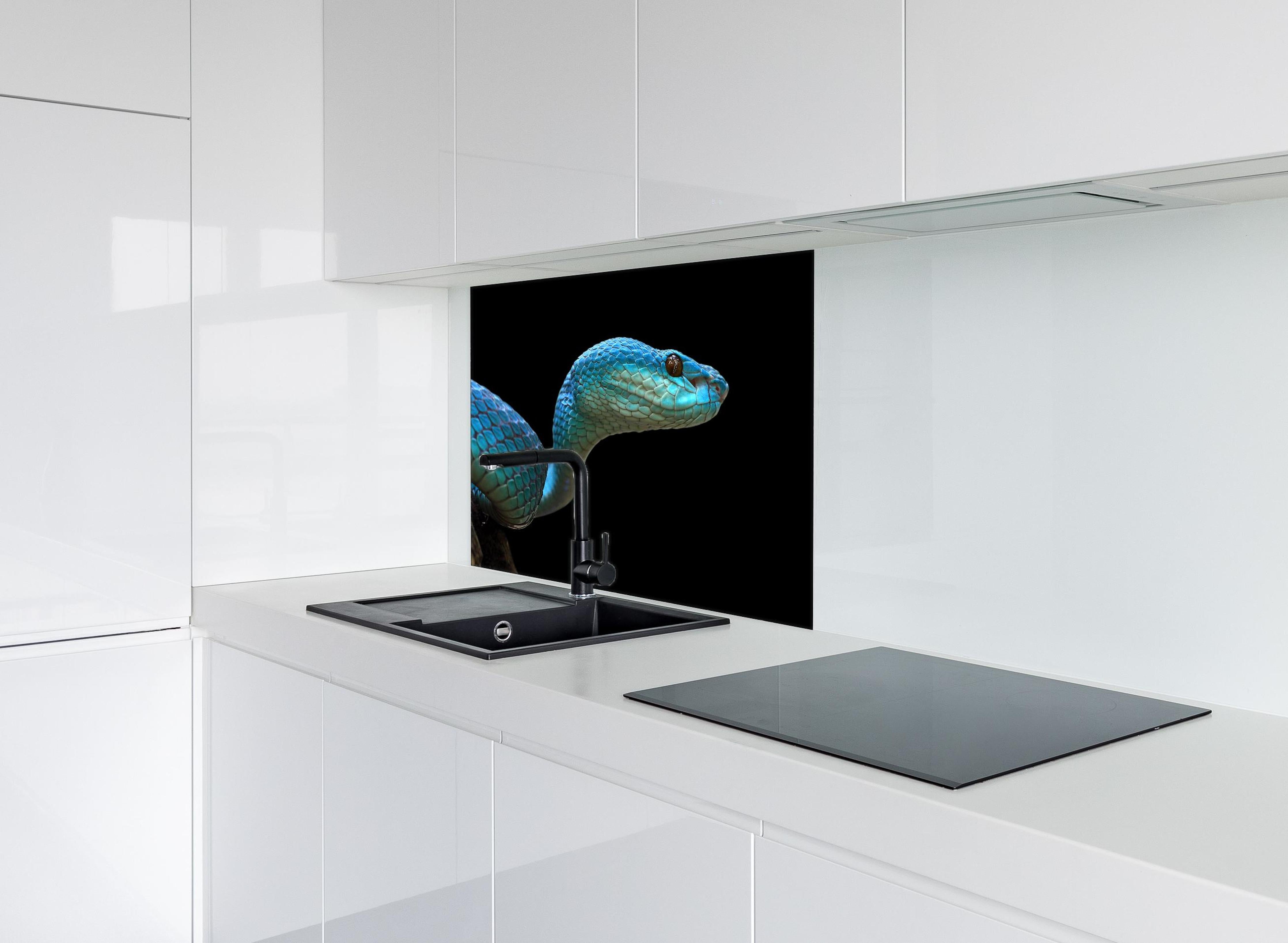 Spritzschutz - Blue Insularis Schlange Gesicht Nahaufnahme hinter einem Cerankochfeld zwischen Holz-Kochutensilien