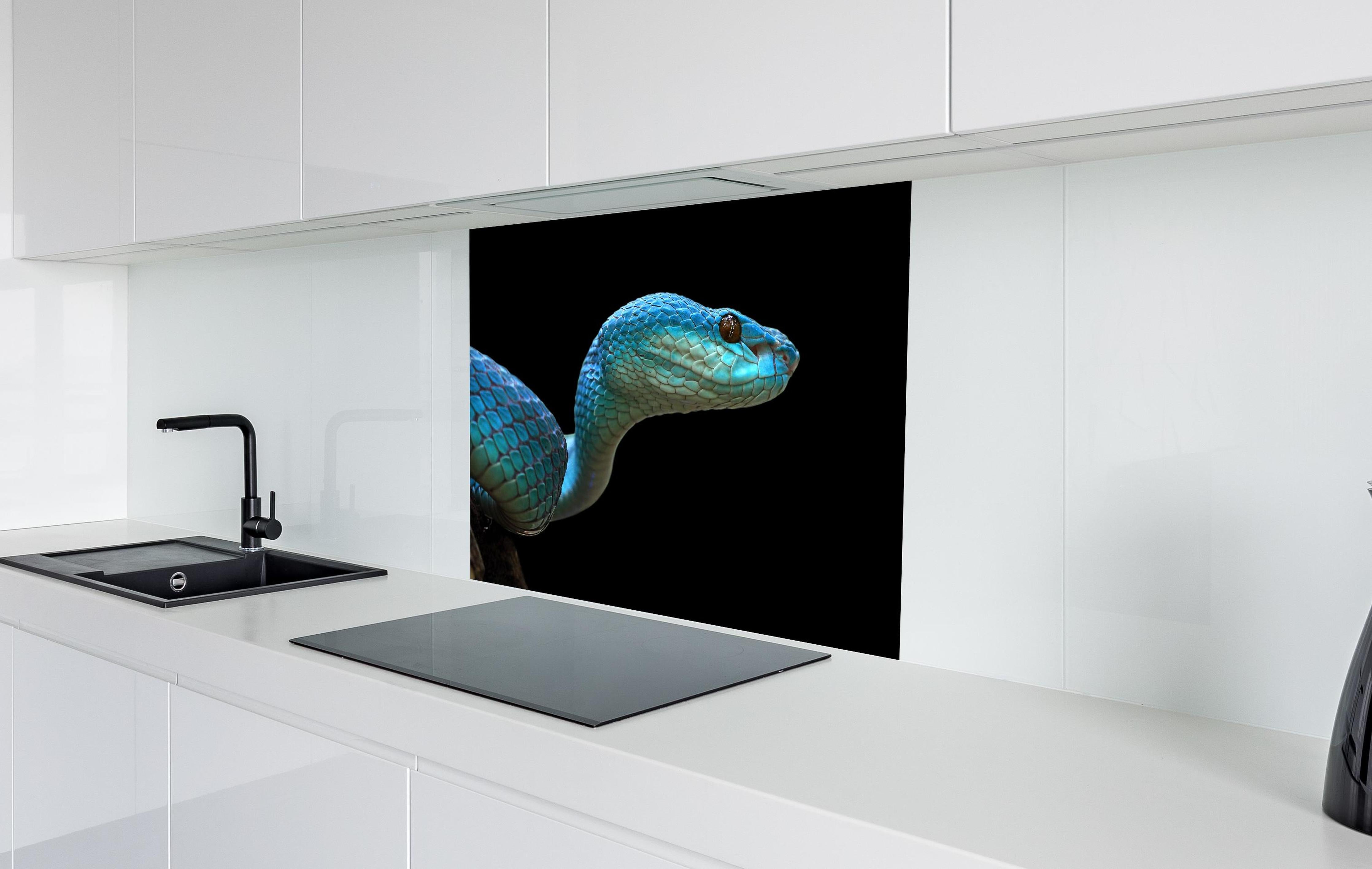 Spritzschutz - Blue Insularis Schlange Gesicht Nahaufnahme hinter einem Cerankochfeld zwischen Holz-Kochutensilien