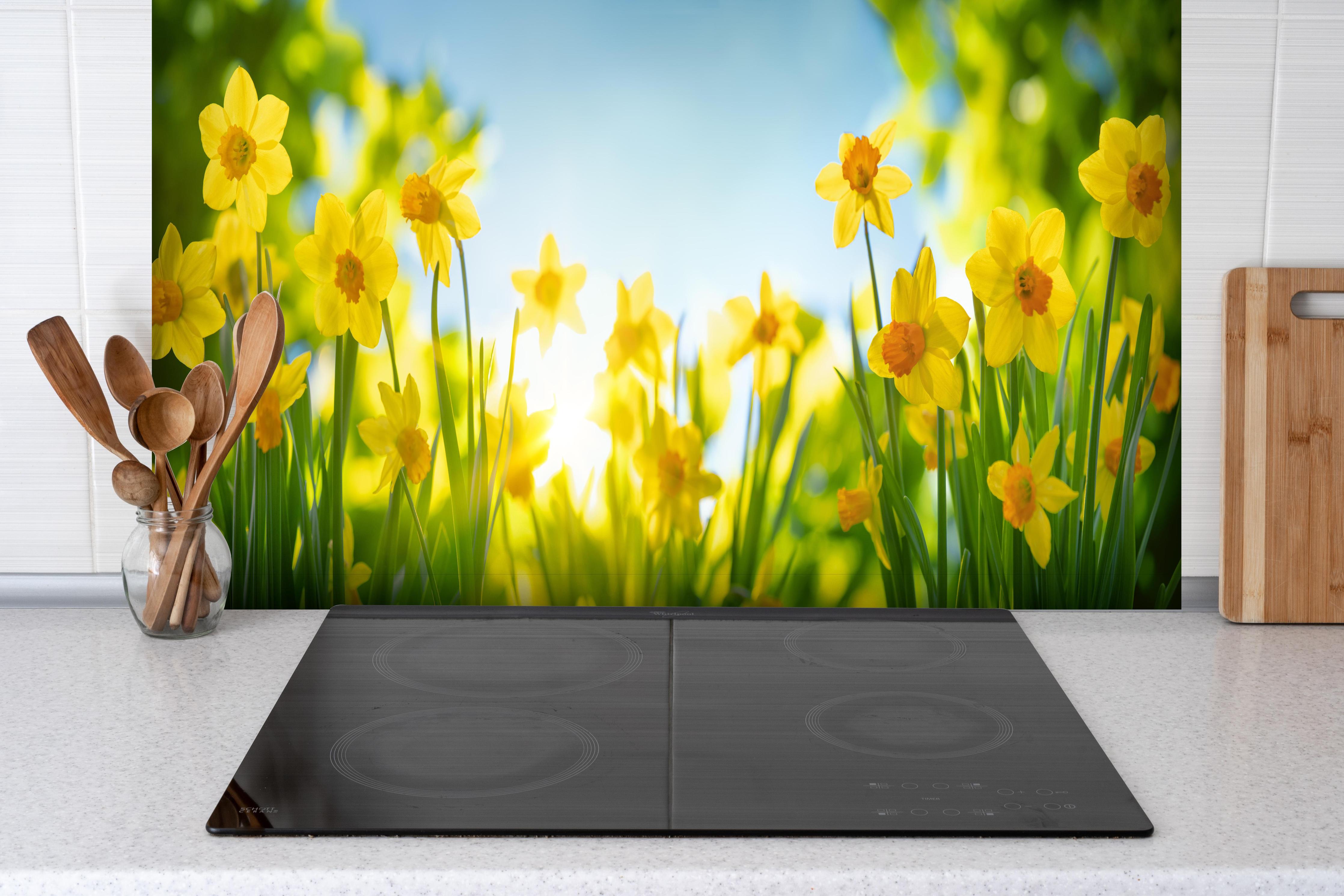 Spritzschutz - Blühende Frühlings-Narzissen hinter einem Cerankochfeld zwischen Holz-Kochutensilien