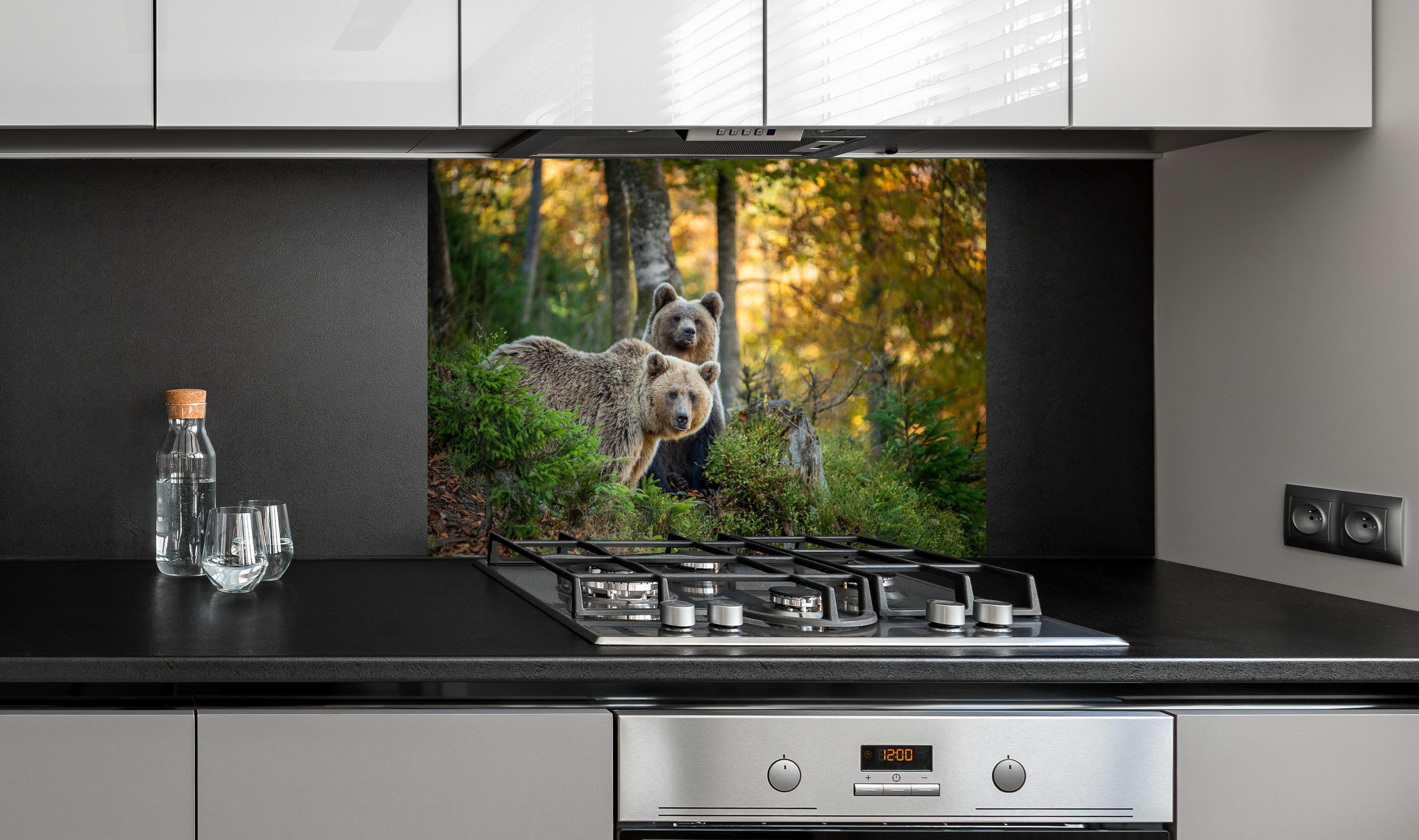 Spritzschutz - Braunbär Familie Herbstlaub Waldbild hinter einem Cerankochfeld zwischen Holz-Kochutensilien