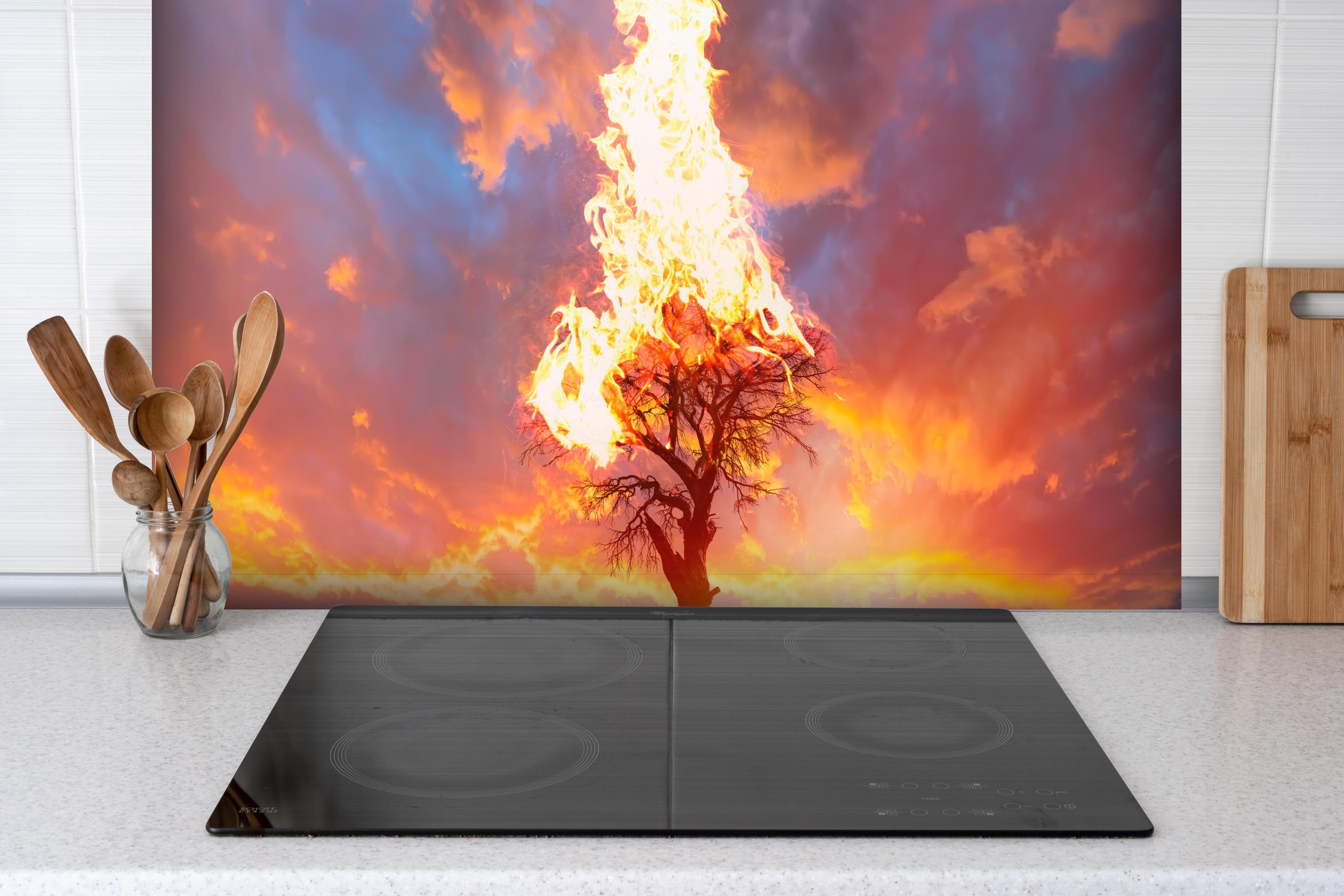 Spritzschutz - Brennender Baum unter stürmischem Himmel hinter einem Cerankochfeld zwischen Holz-Kochutensilien