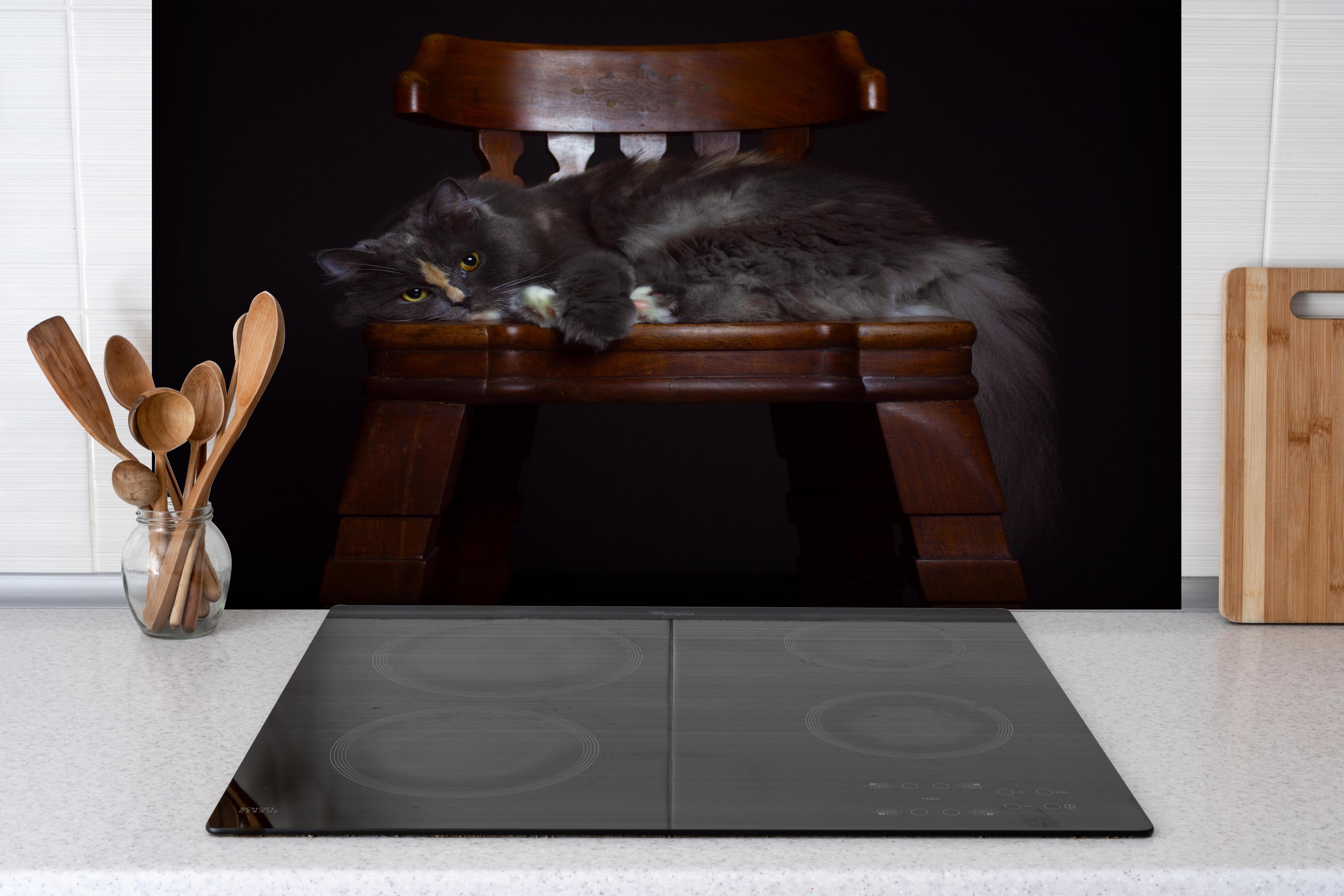 Spritzschutz - Britisch Langhaarkatze auf Holzstuhl hinter einem Cerankochfeld zwischen Holz-Kochutensilien
