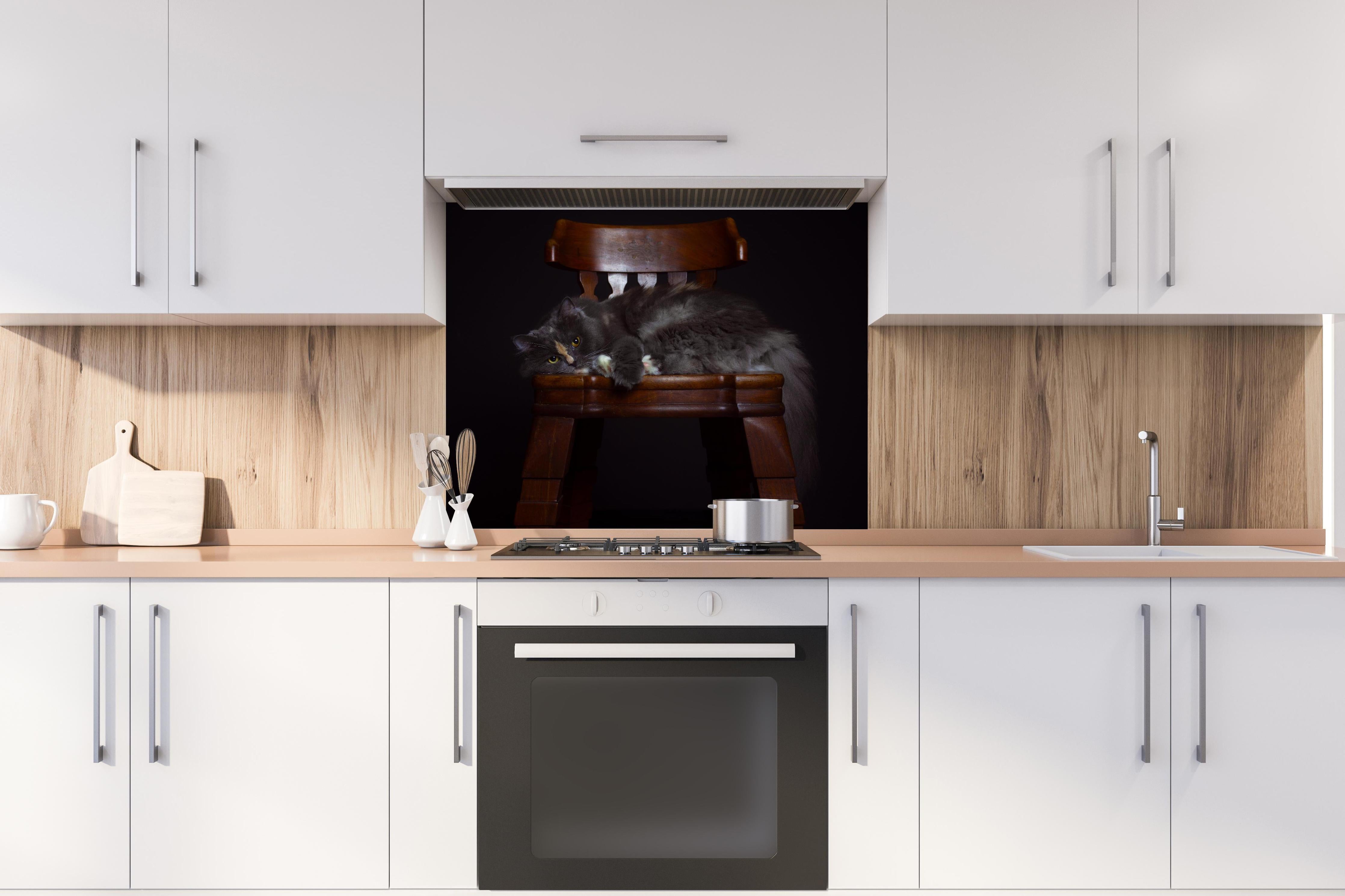 Spritzschutz - Britisch Langhaarkatze auf Holzstuhl hinter einem Cerankochfeld zwischen Holz-Kochutensilien