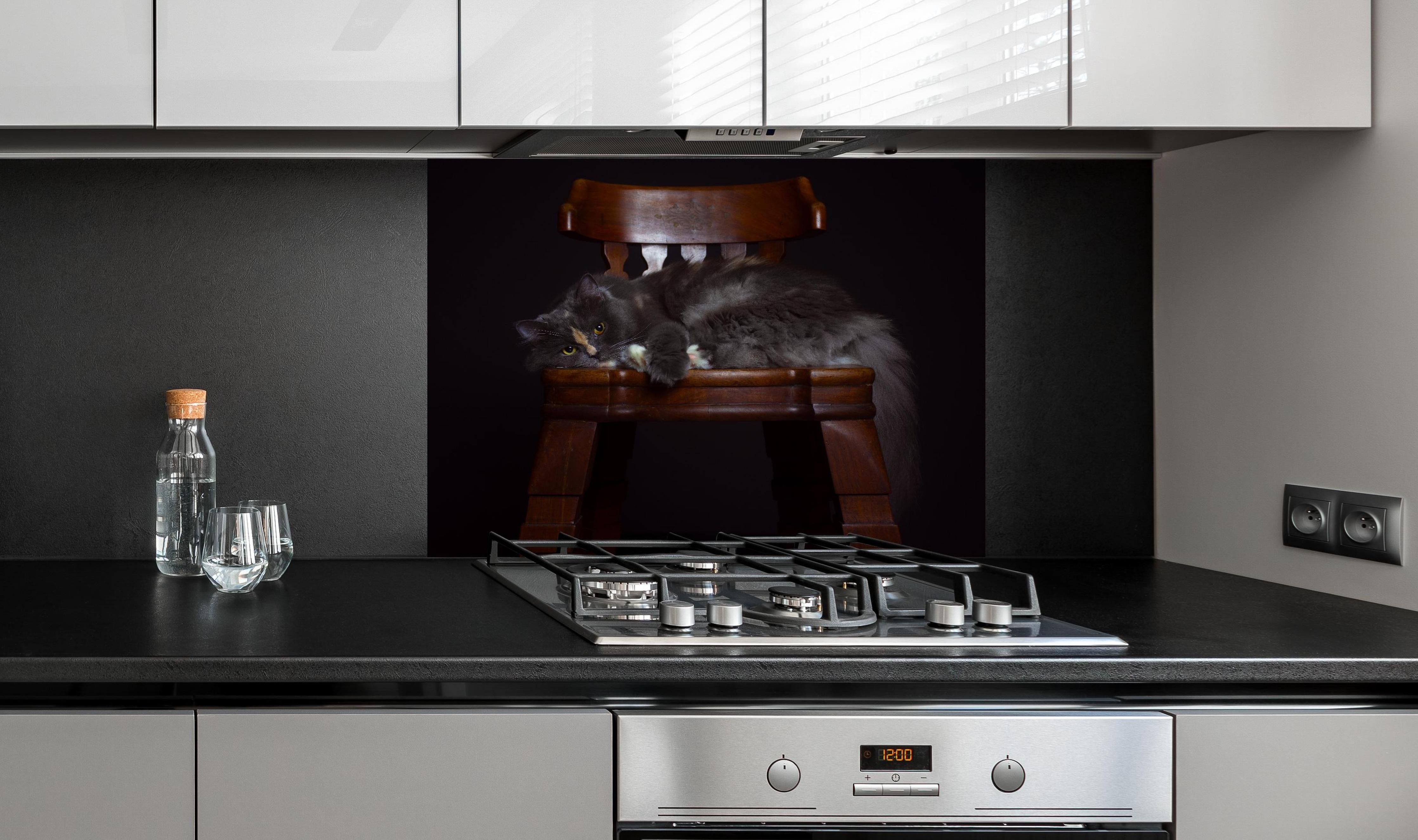 Spritzschutz - Britisch Langhaarkatze auf Holzstuhl hinter einem Cerankochfeld zwischen Holz-Kochutensilien