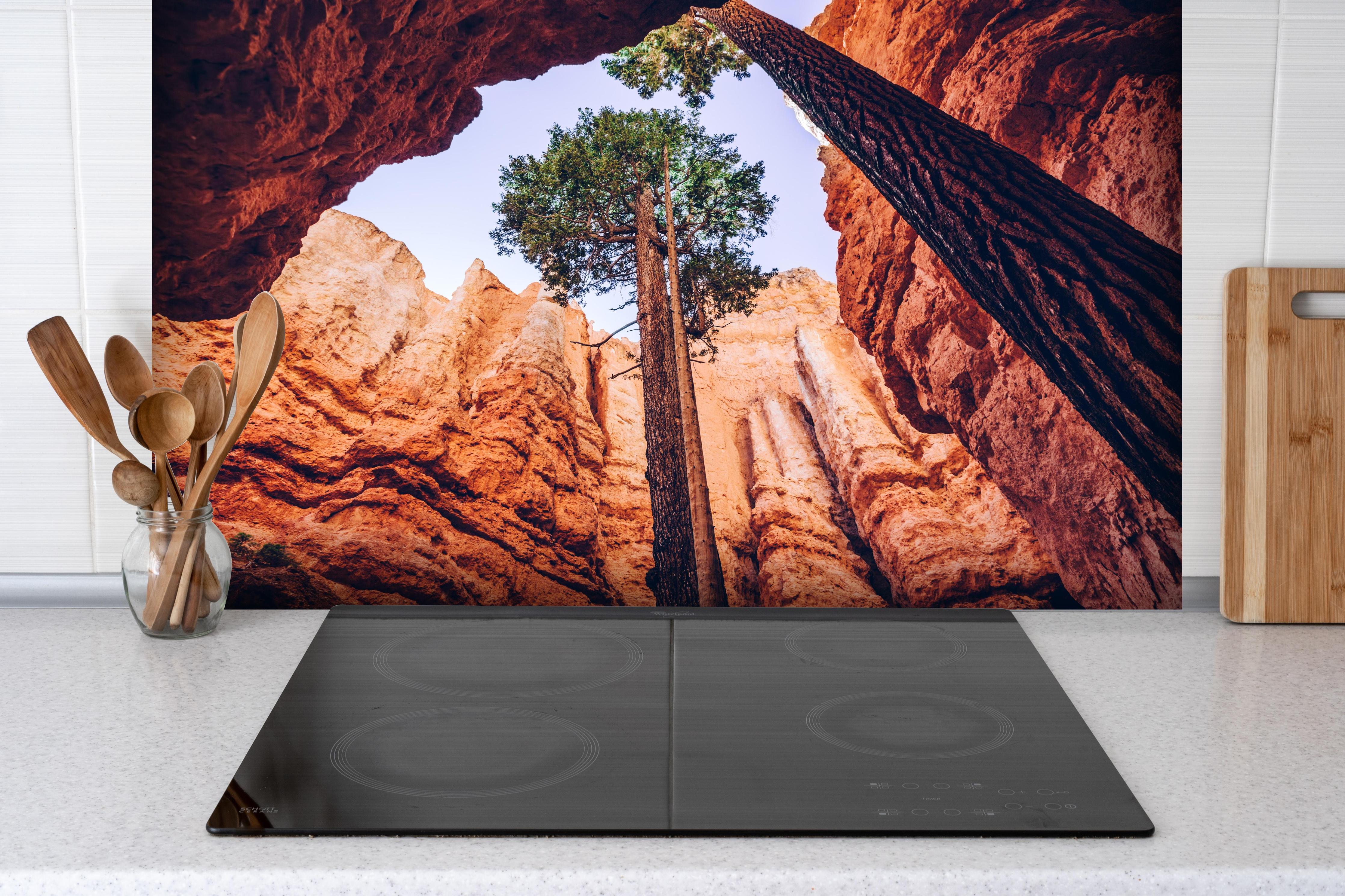 Spritzschutz - Bryce Canyon Felsen Himmel Baum hinter einem Cerankochfeld zwischen Holz-Kochutensilien