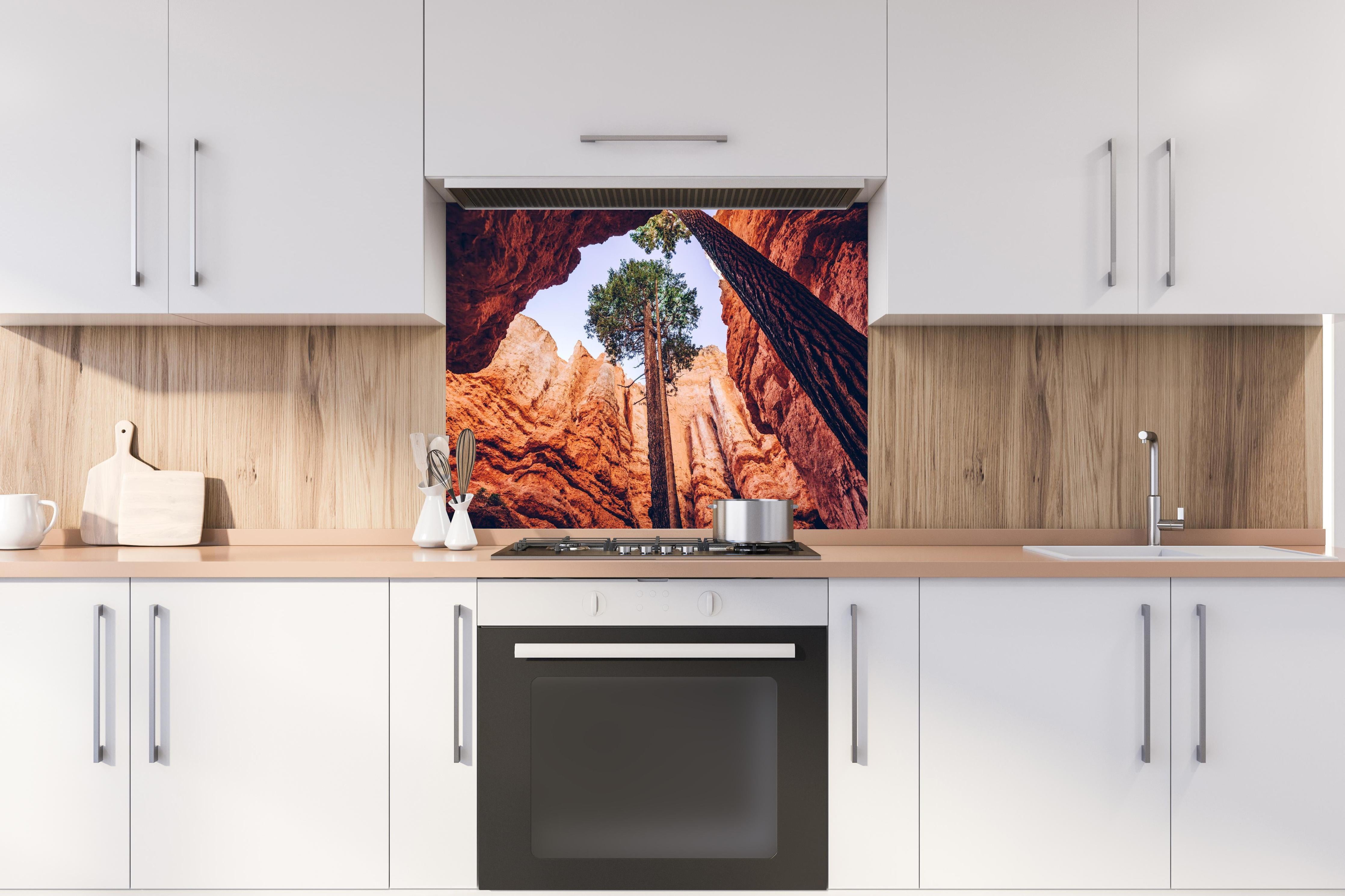 Spritzschutz - Bryce Canyon Felsen Himmel Baum hinter einem Cerankochfeld zwischen Holz-Kochutensilien