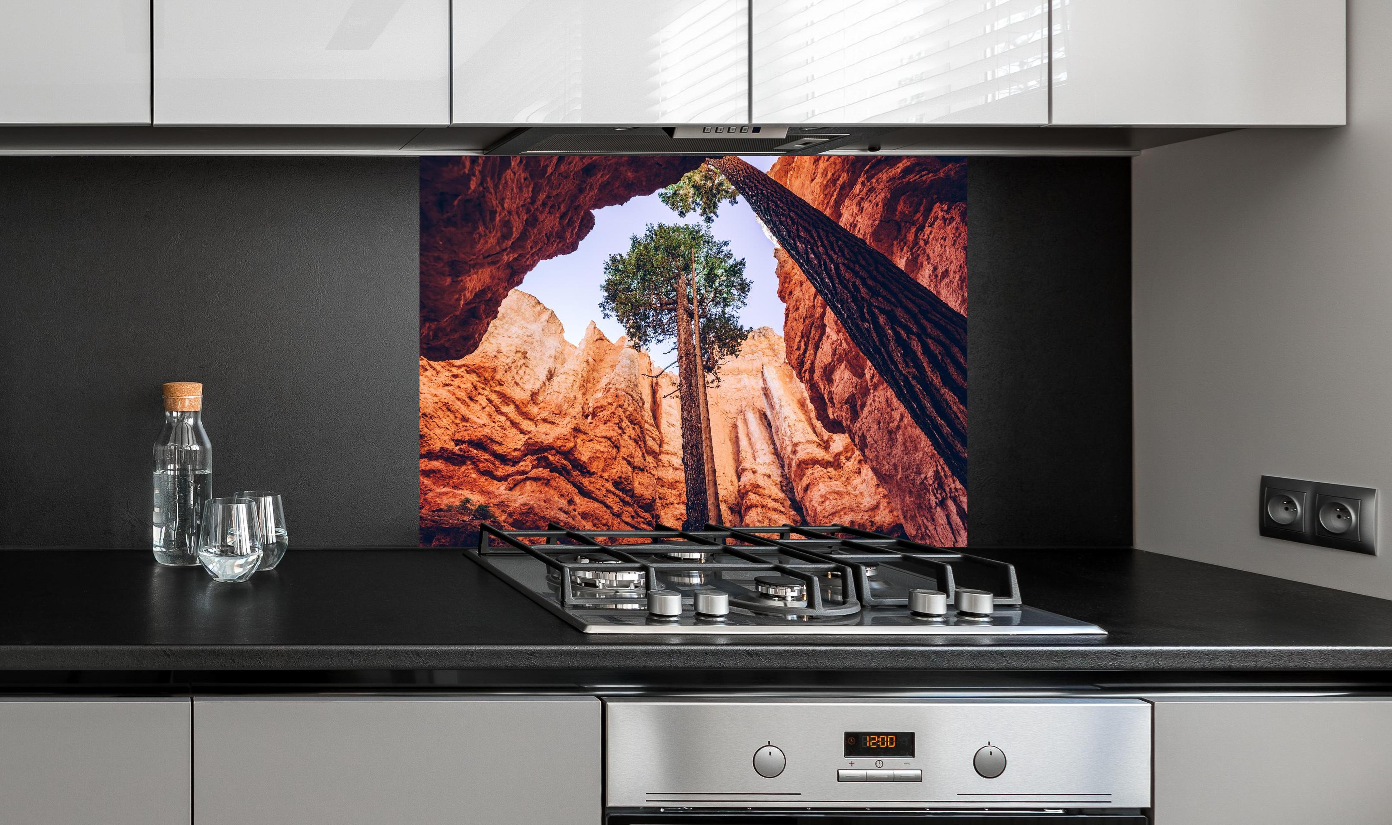 Spritzschutz - Bryce Canyon Felsen Himmel Baum hinter einem Cerankochfeld zwischen Holz-Kochutensilien