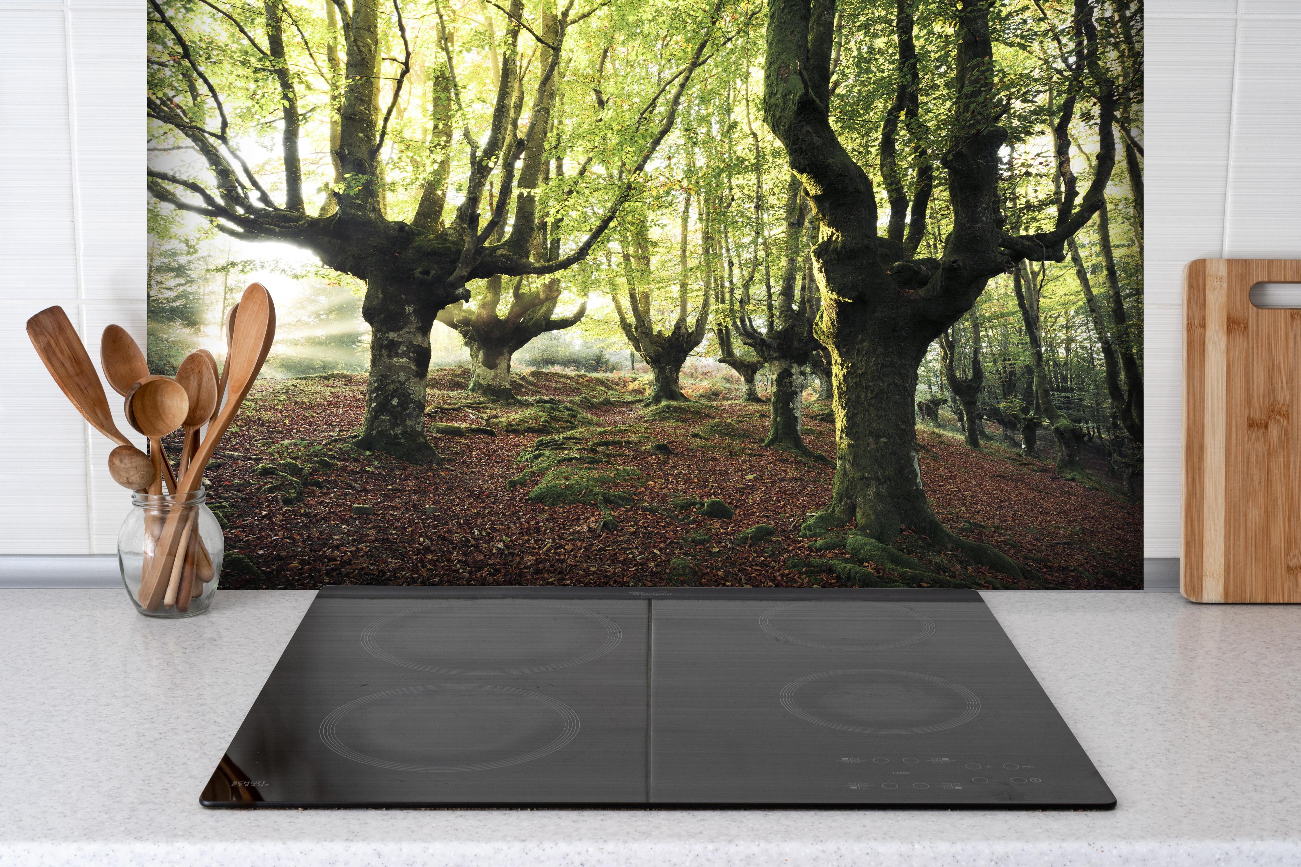 Spritzschutz - Buchenwald in Spanien hinter einem Cerankochfeld zwischen Holz-Kochutensilien