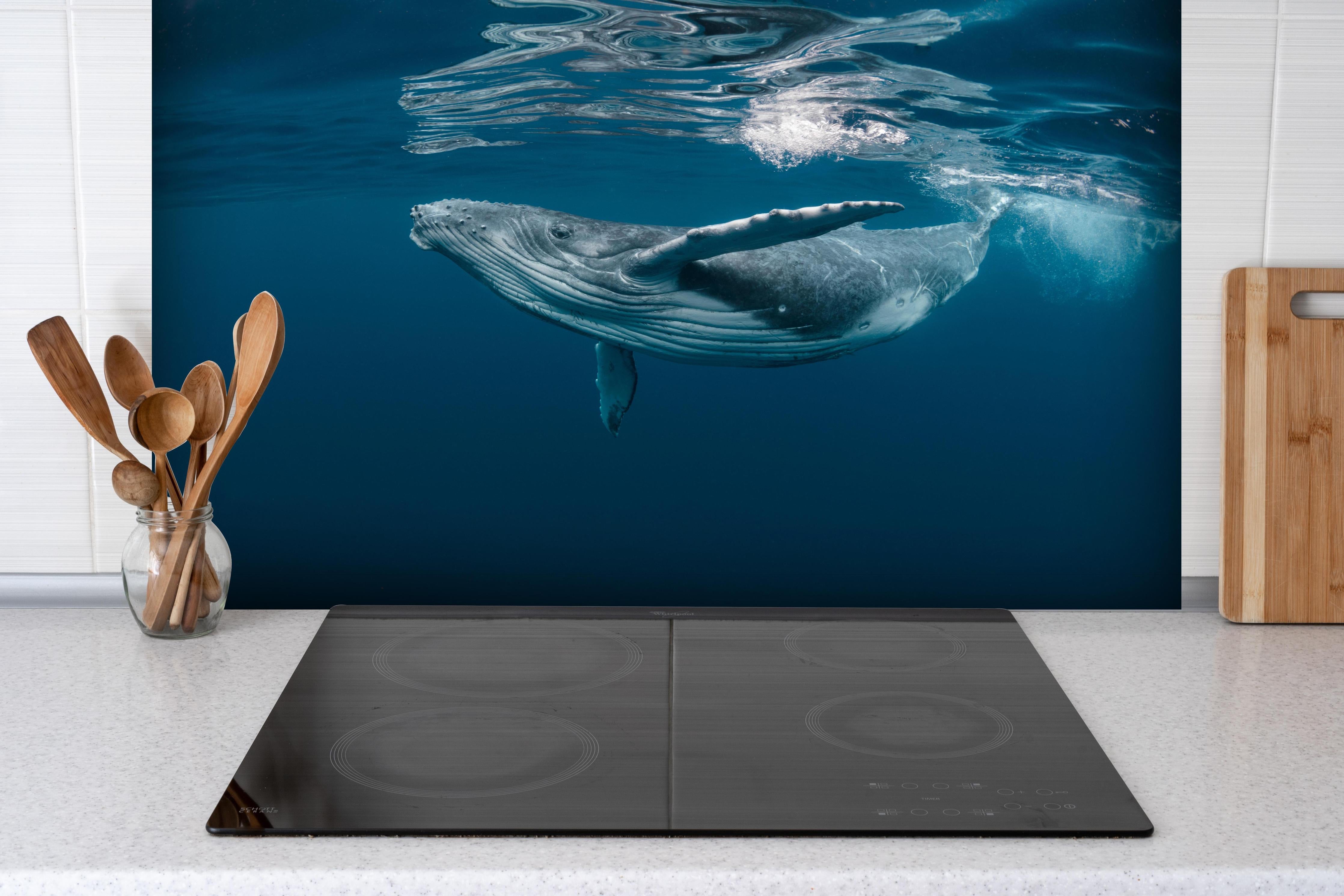 Spritzschutz - Buckelbaby - nähe Wasseroberfläche hinter einem Cerankochfeld zwischen Holz-Kochutensilien