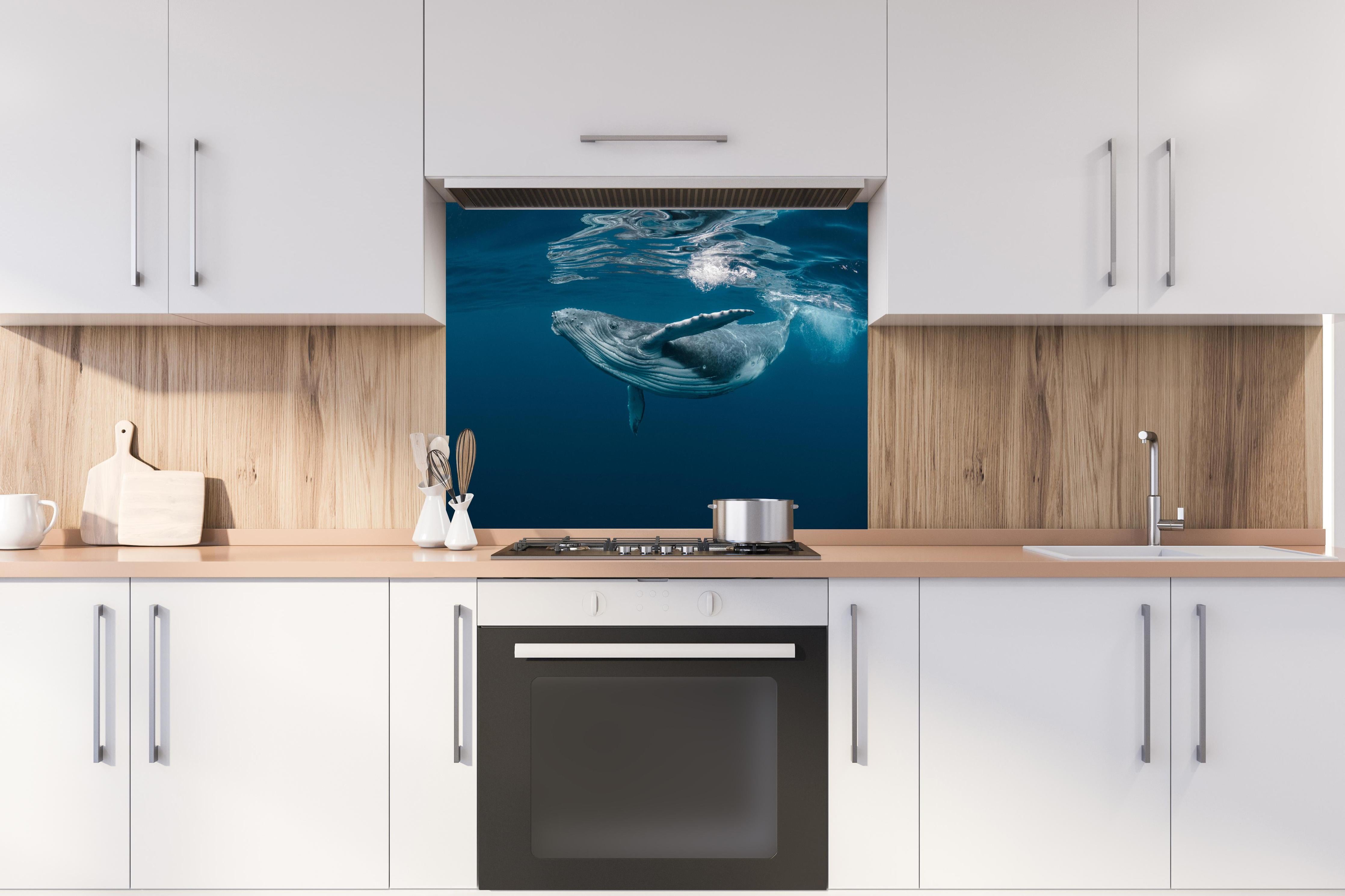 Spritzschutz - Buckelbaby - nähe Wasseroberfläche hinter einem Cerankochfeld zwischen Holz-Kochutensilien