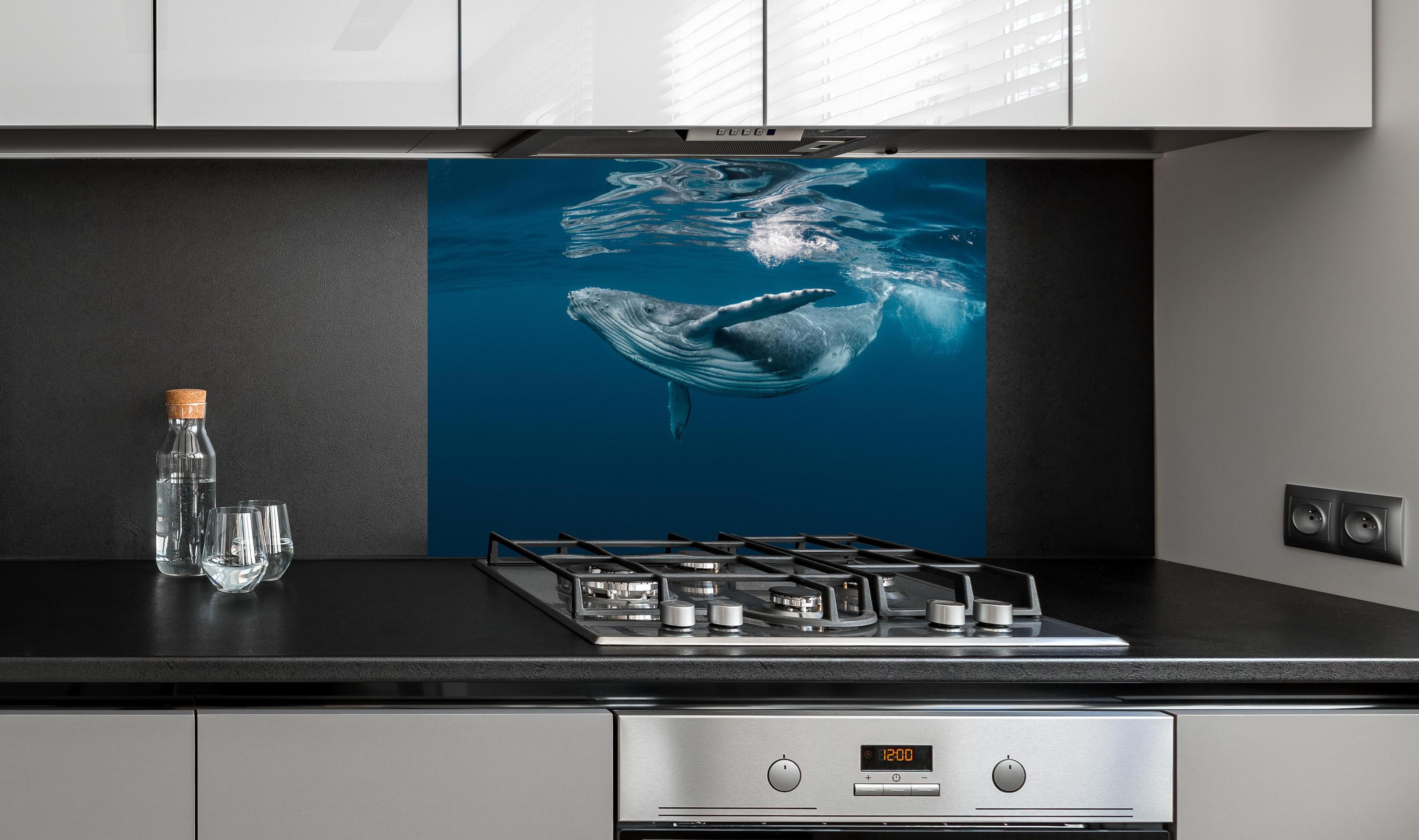 Spritzschutz - Buckelbaby - nähe Wasseroberfläche hinter einem Cerankochfeld zwischen Holz-Kochutensilien