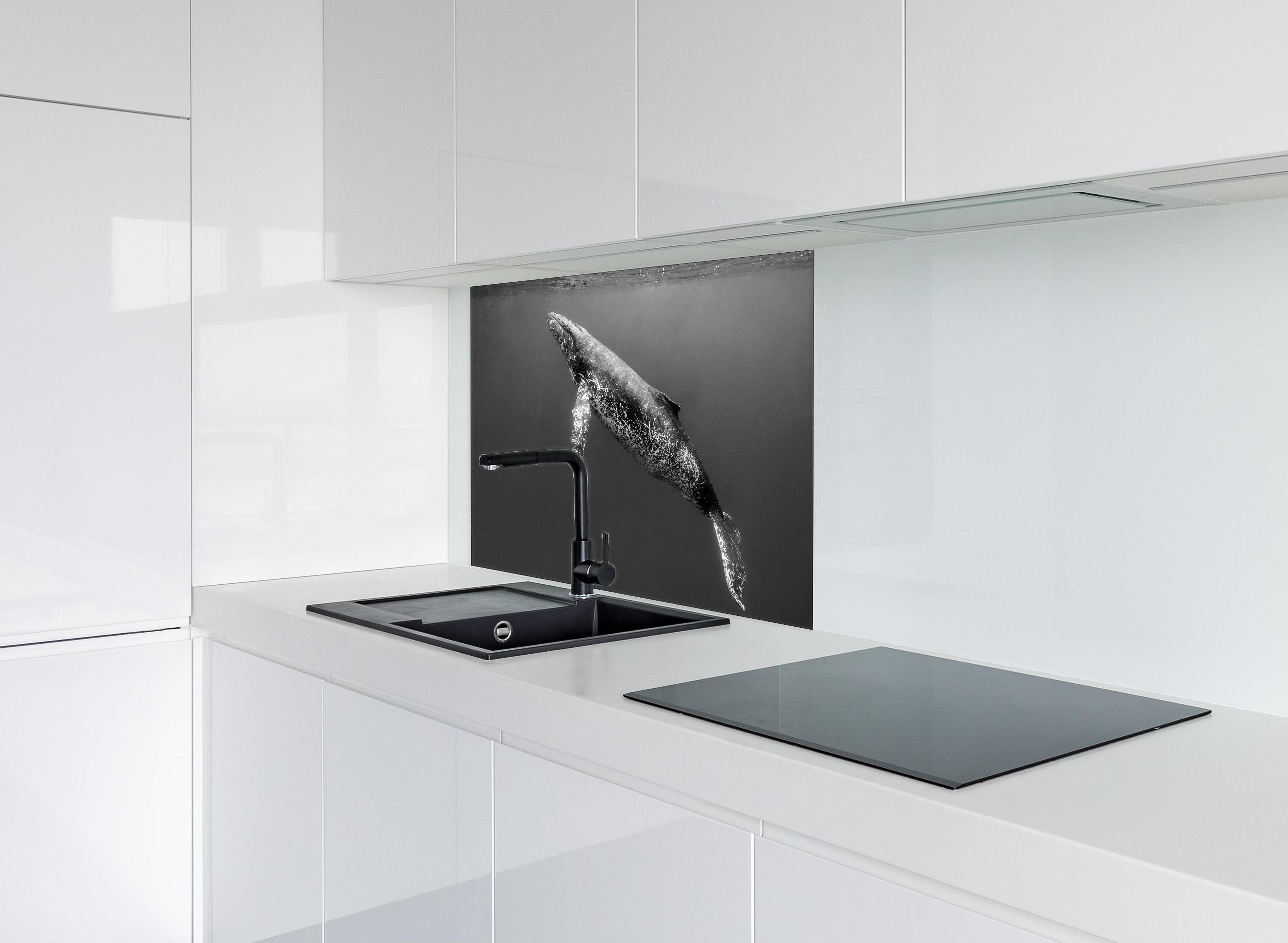 Spritzschutz - Buckelwal hinter einem Cerankochfeld zwischen Holz-Kochutensilien