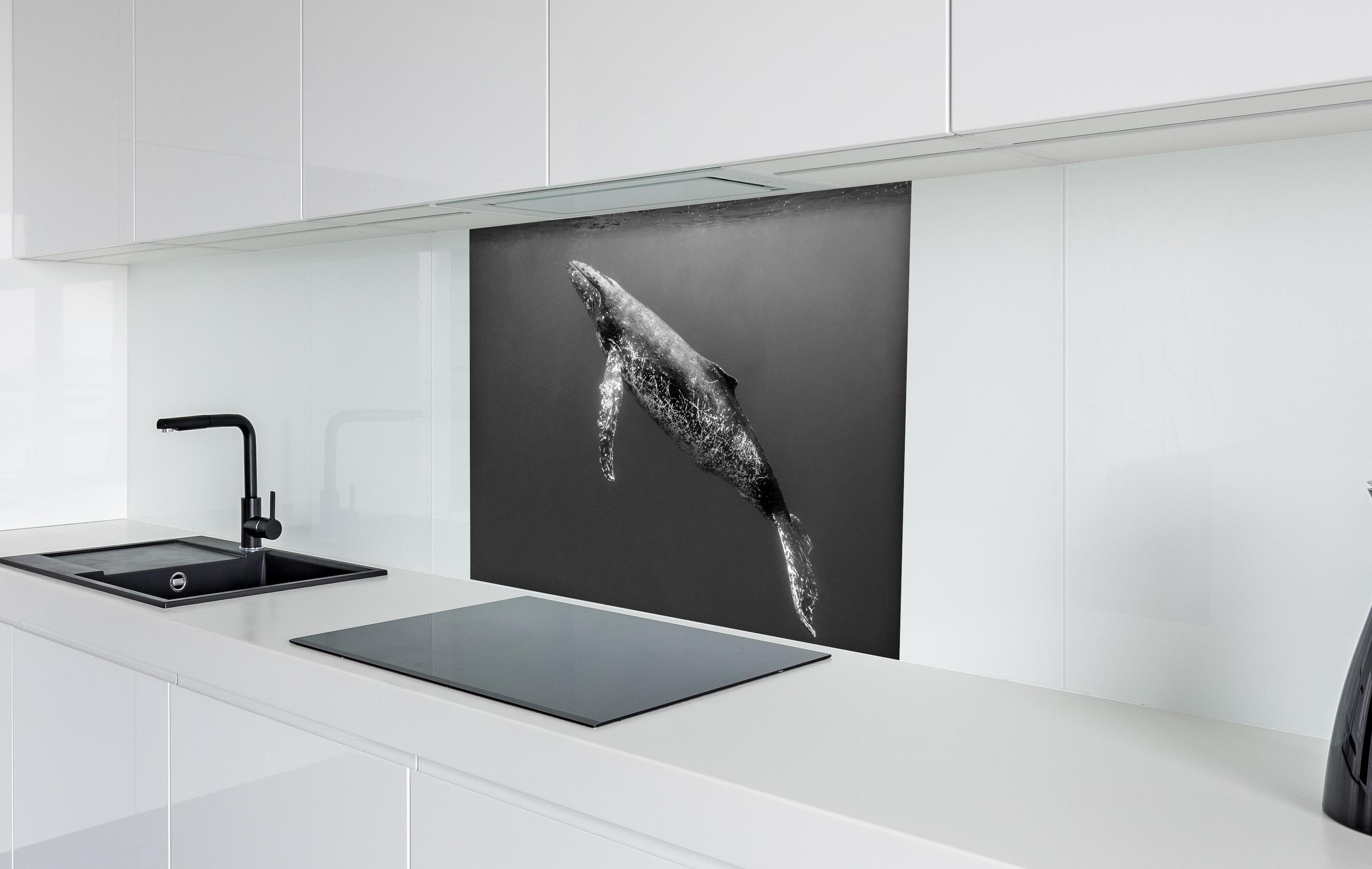 Spritzschutz - Buckelwal hinter einem Cerankochfeld zwischen Holz-Kochutensilien