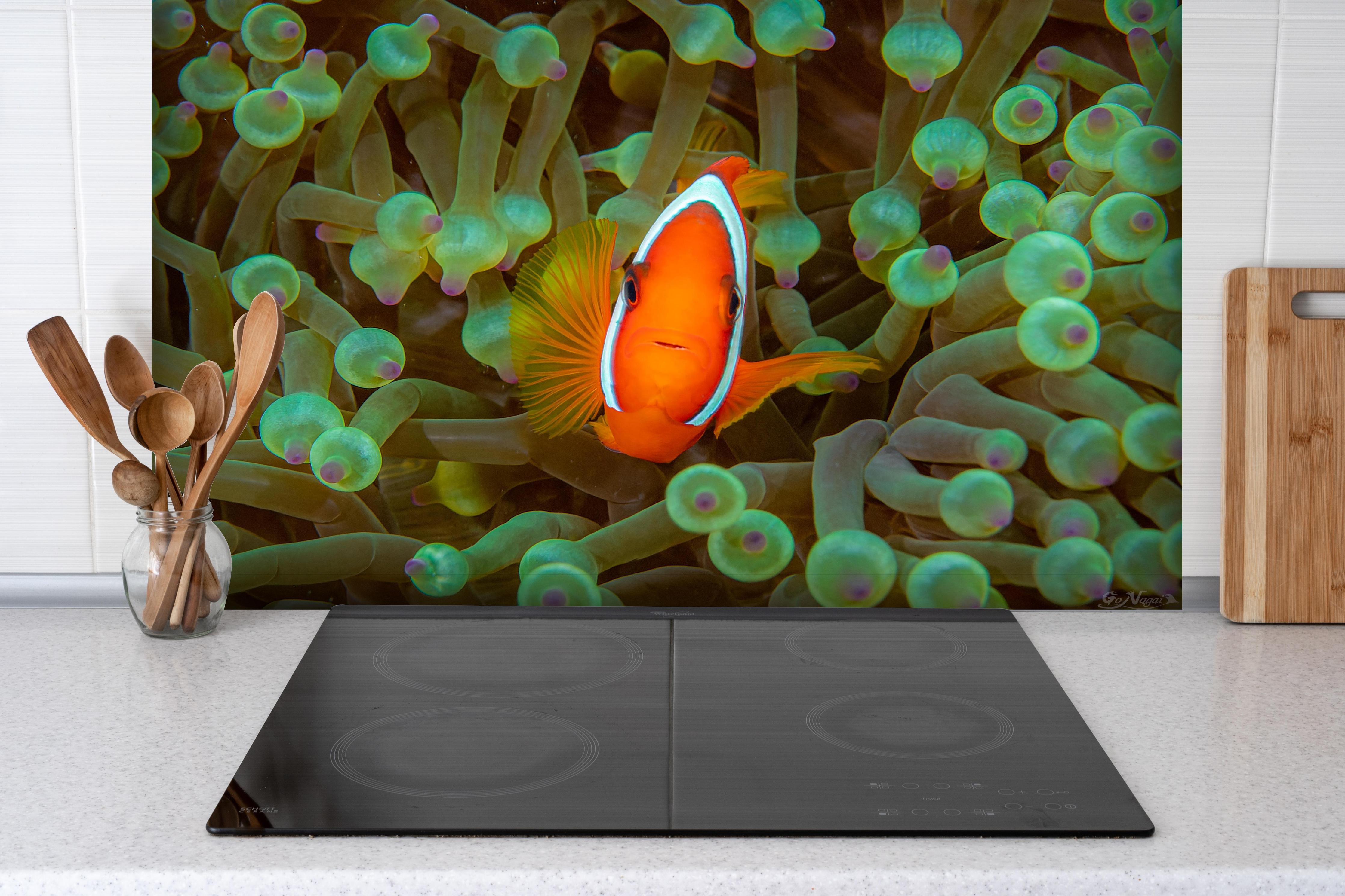 Spritzschutz - Clownfisch - Unterwasserwelt hinter einem Cerankochfeld zwischen Holz-Kochutensilien