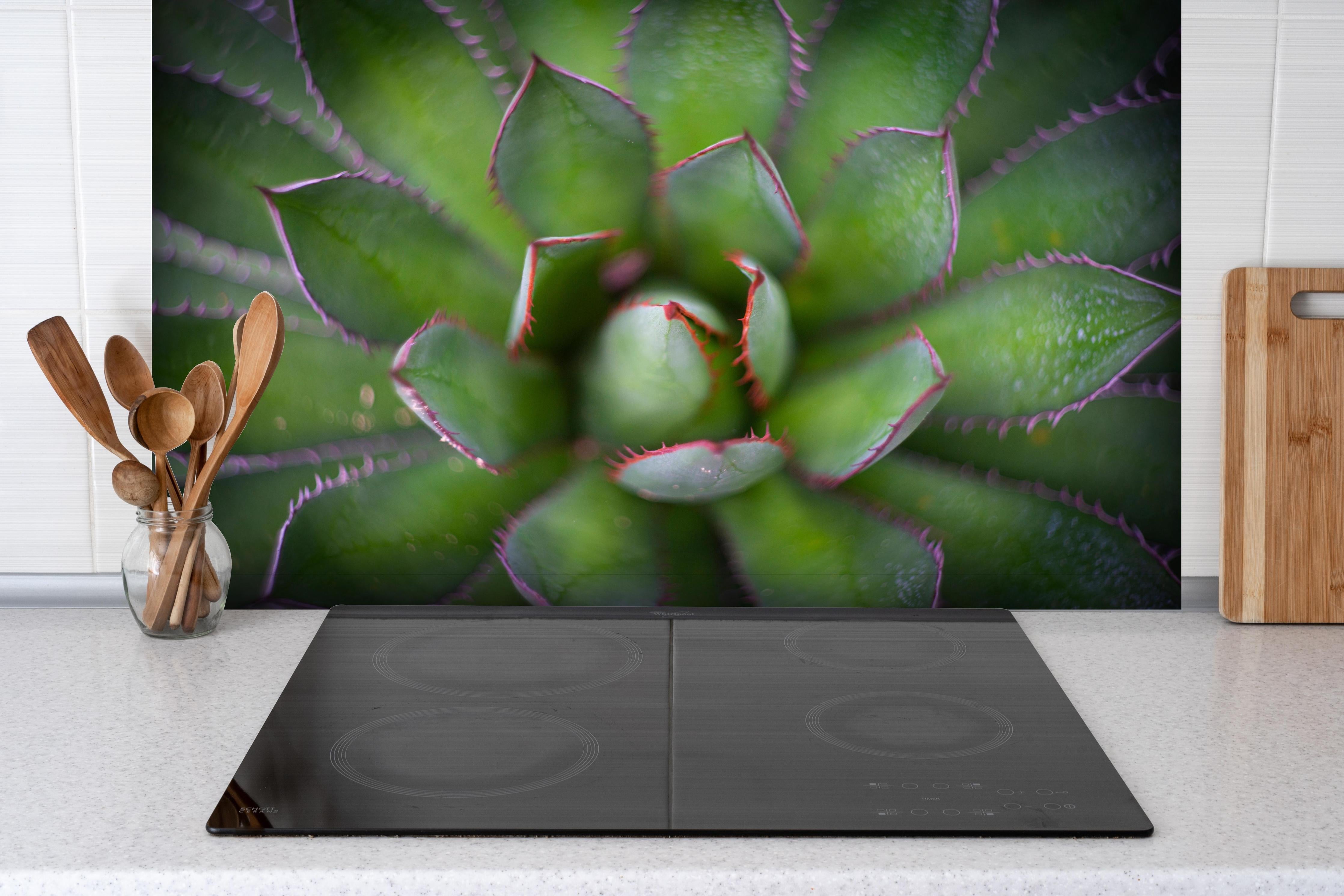 Spritzschutz - Detailaufnahme Agave ghiesbreghtii Kunstbild hinter einem Cerankochfeld zwischen Holz-Kochutensilien