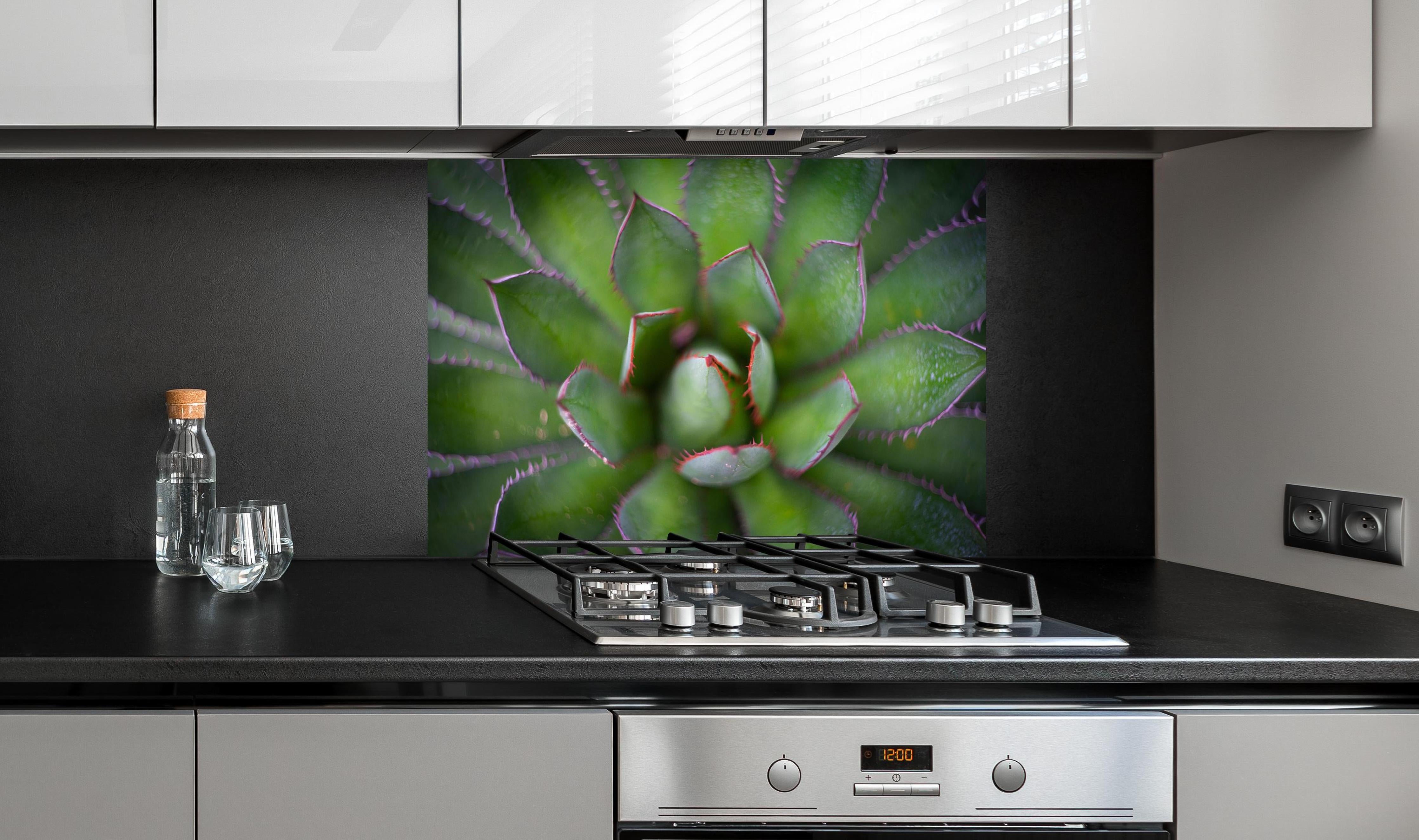 Spritzschutz - Detailaufnahme Agave ghiesbreghtii Kunstbild hinter einem Cerankochfeld zwischen Holz-Kochutensilien