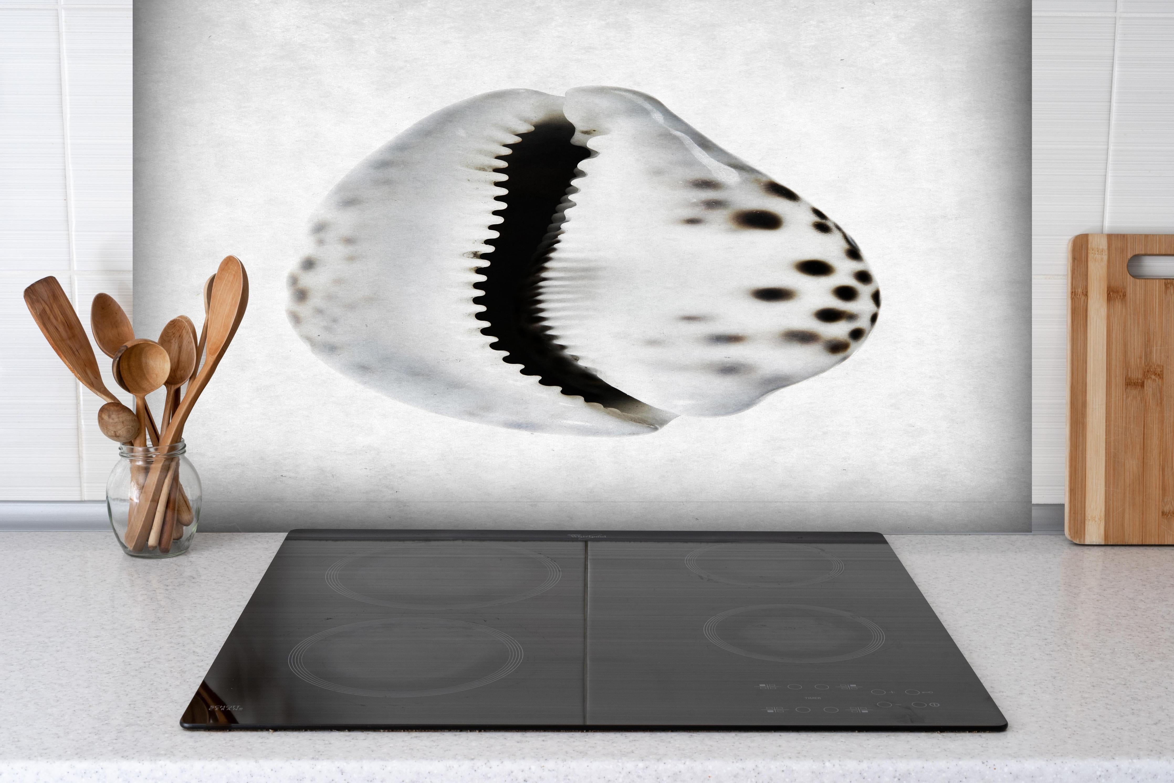 Spritzschutz - Detailbild Weiße Schnecke mit Grau-Sprenkeln hinter einem Cerankochfeld zwischen Holz-Kochutensilien