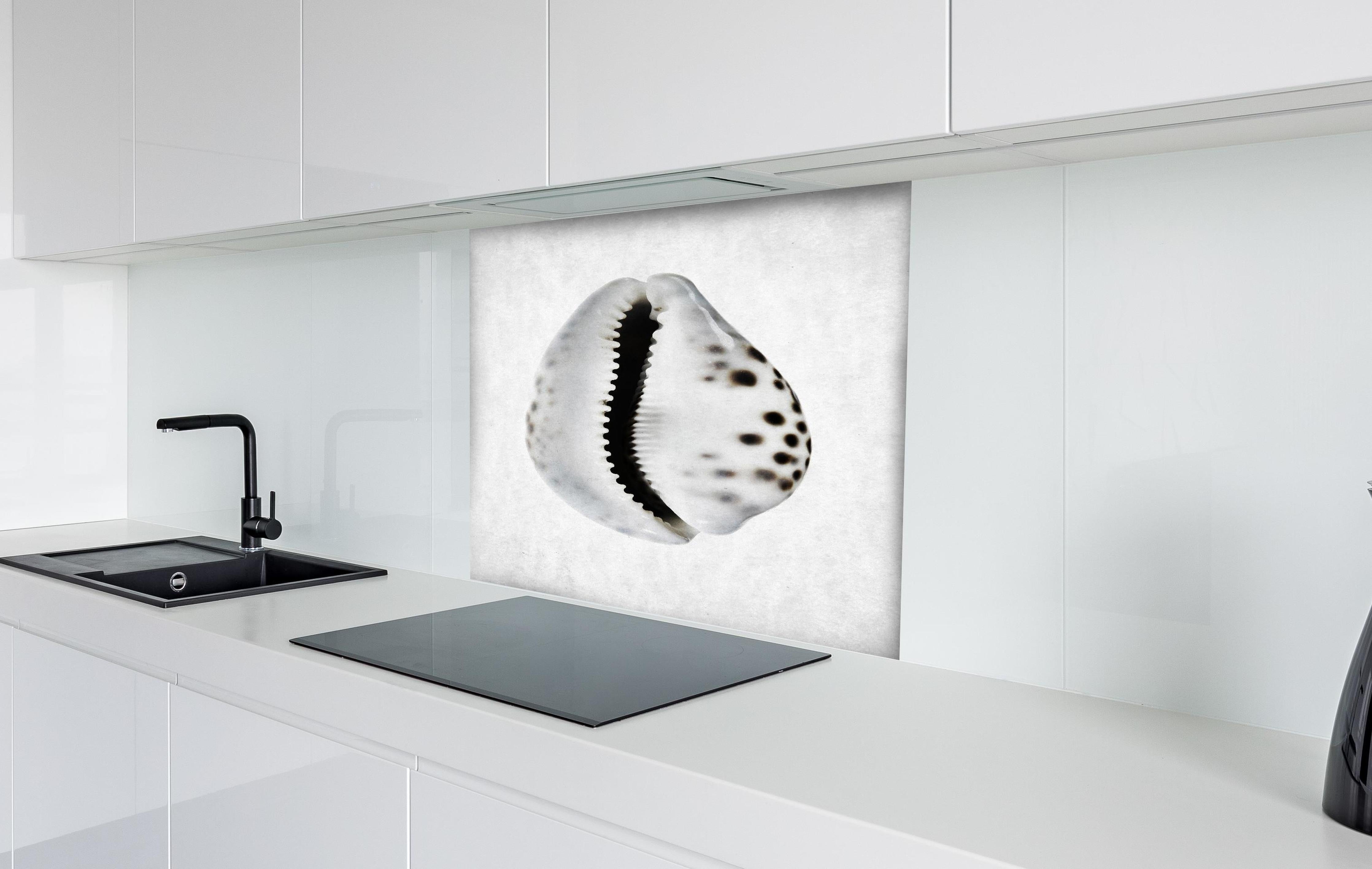 Spritzschutz - Detailbild Weiße Schnecke mit Grau-Sprenkeln hinter einem Cerankochfeld zwischen Holz-Kochutensilien