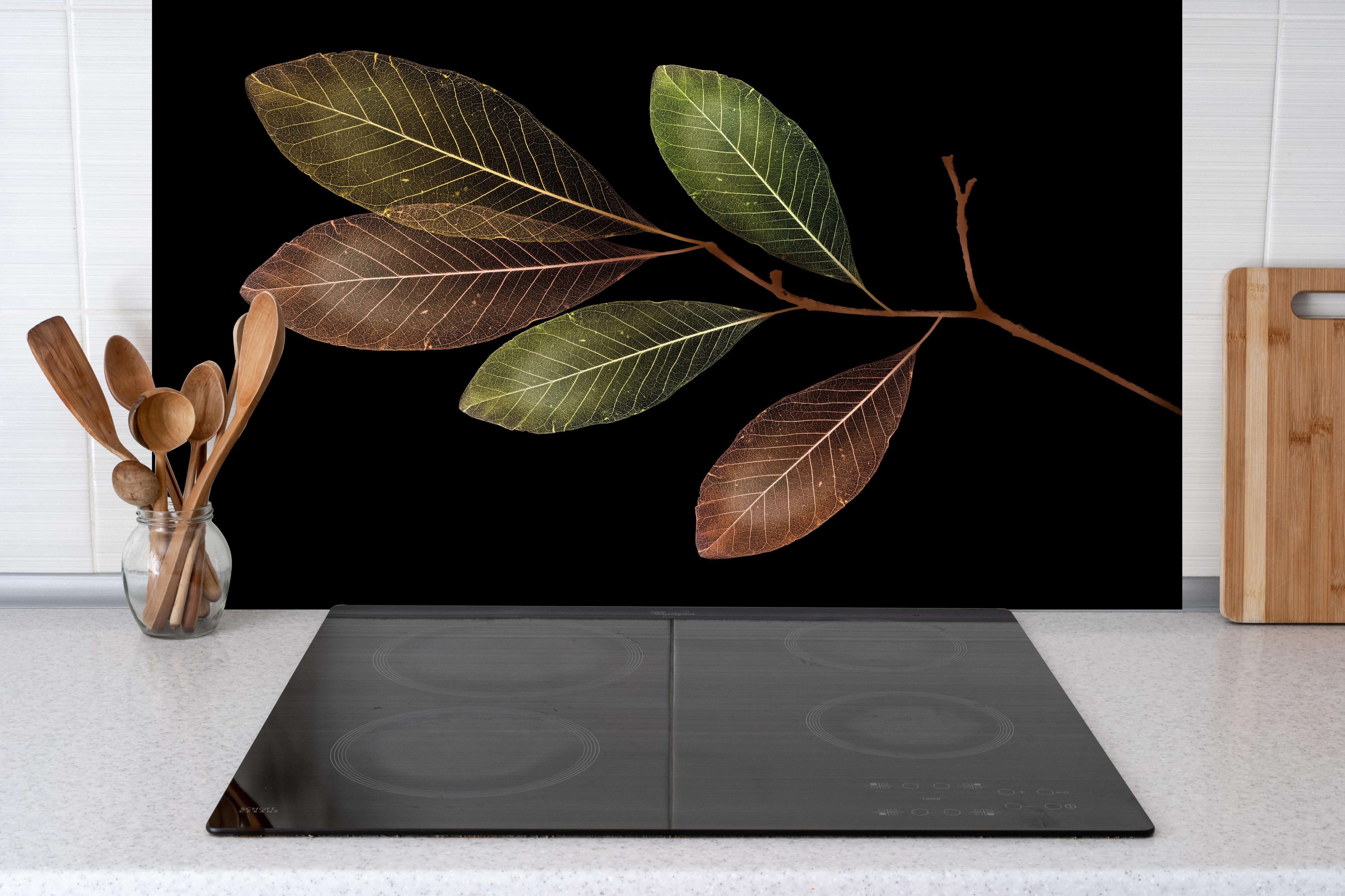 Spritzschutz - Detaillierte grün-braune Blattvenen Struktur hinter einem Cerankochfeld zwischen Holz-Kochutensilien