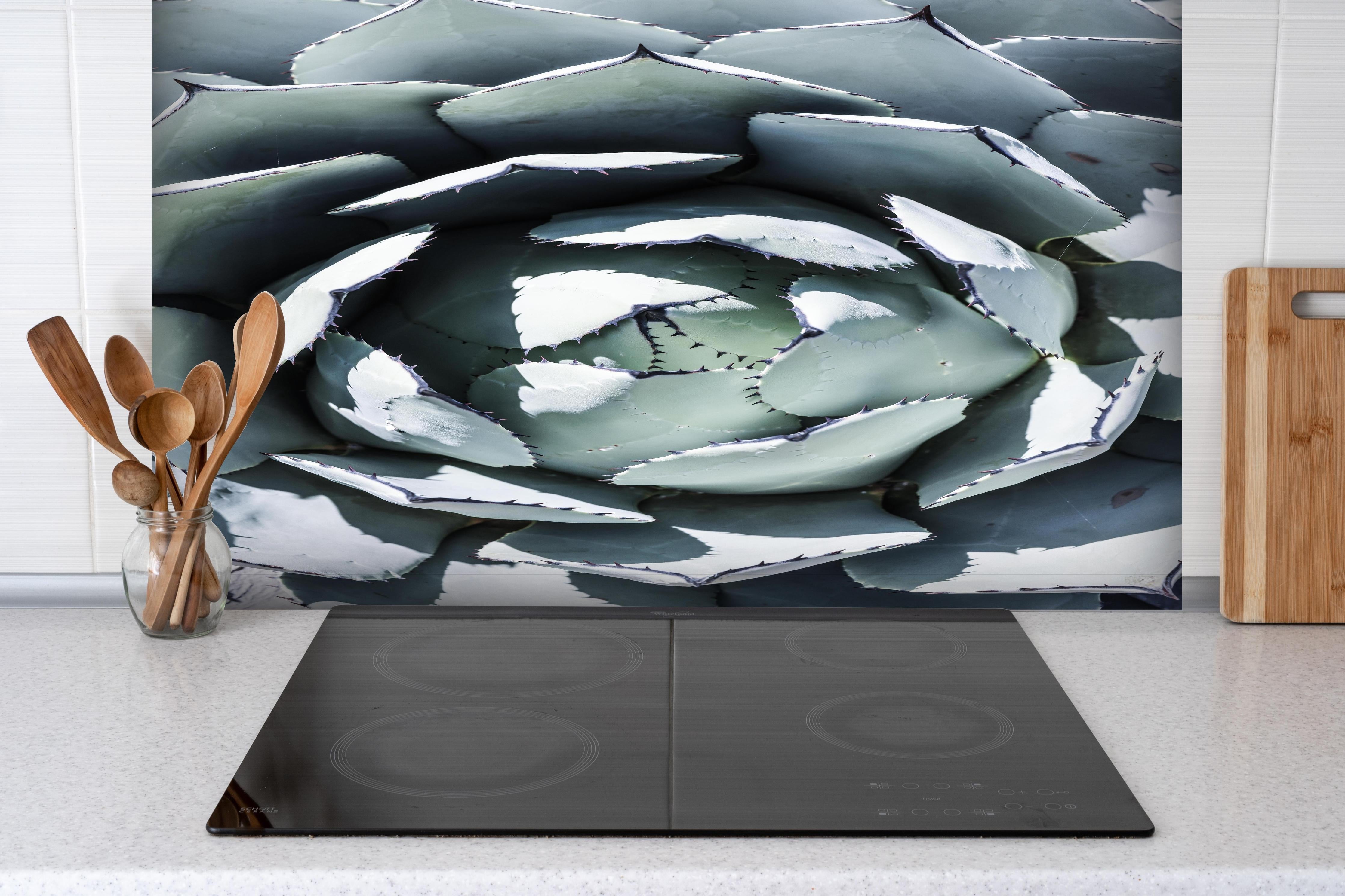 Spritzschutz - Detailreiche Blau-Weiße Agavenblätter Makroaufnahme hinter einem Cerankochfeld zwischen Holz-Kochutensilien