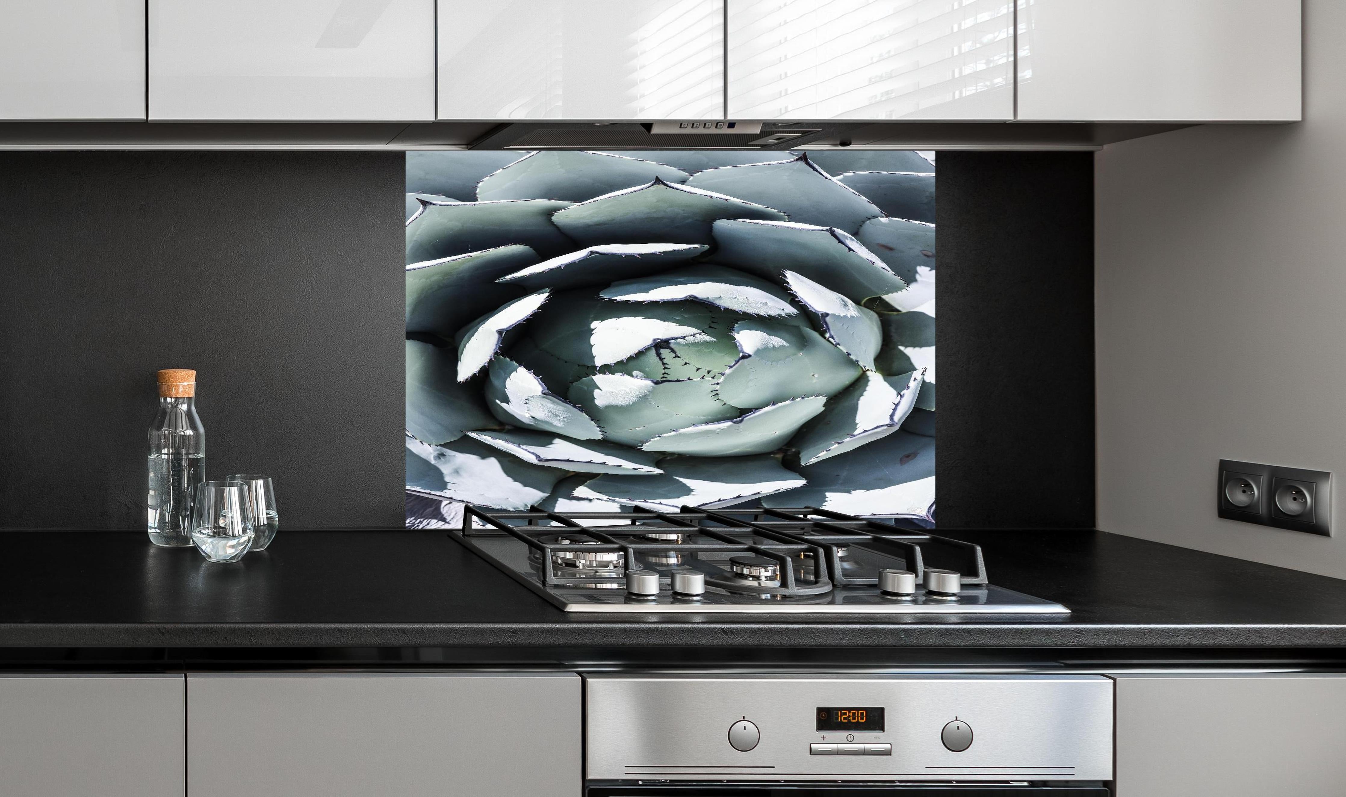 Spritzschutz - Detailreiche Blau-Weiße Agavenblätter Makroaufnahme hinter einem Cerankochfeld zwischen Holz-Kochutensilien