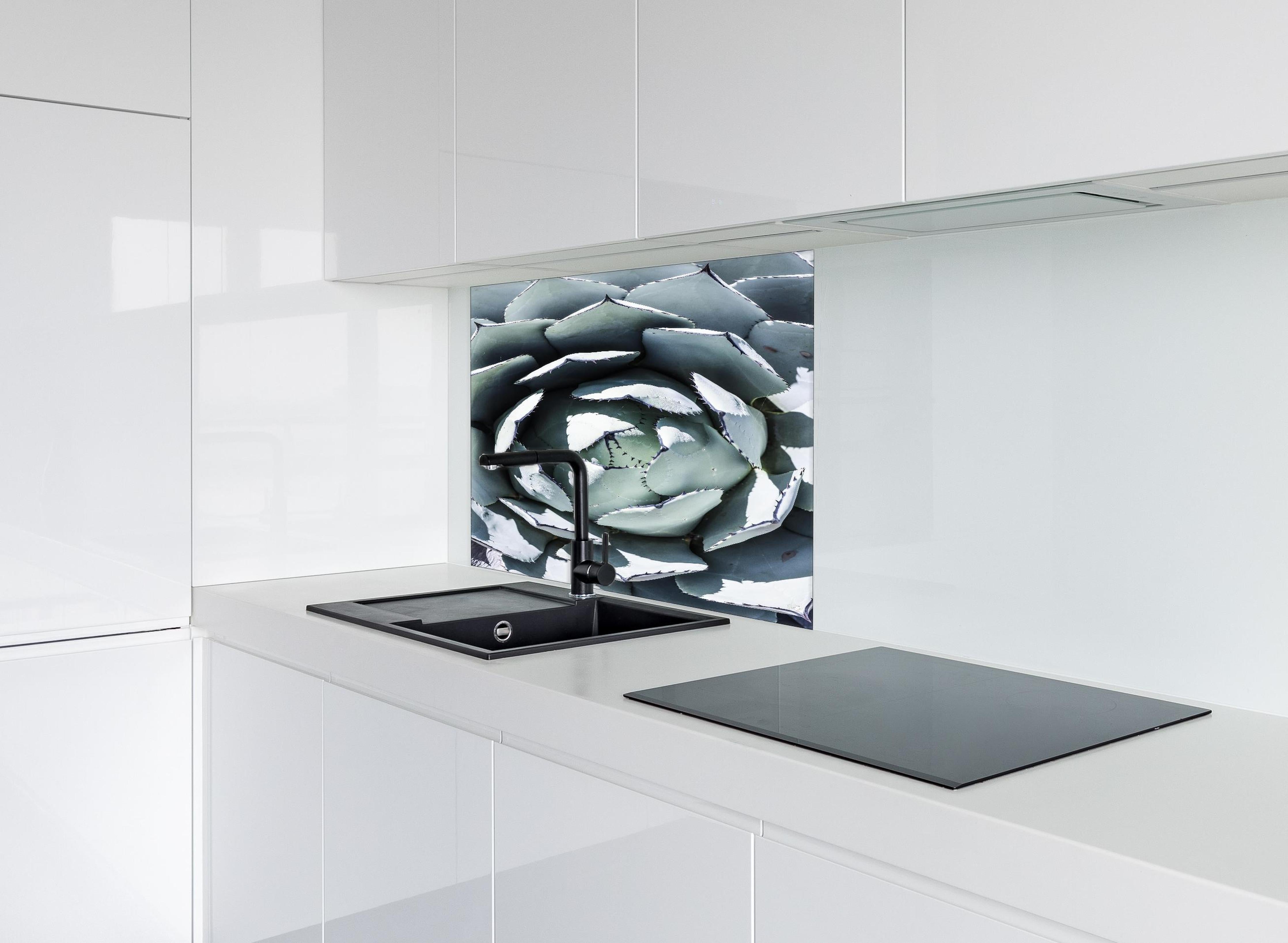 Spritzschutz - Detailreiche Blau-Weiße Agavenblätter Makroaufnahme hinter einem Cerankochfeld zwischen Holz-Kochutensilien