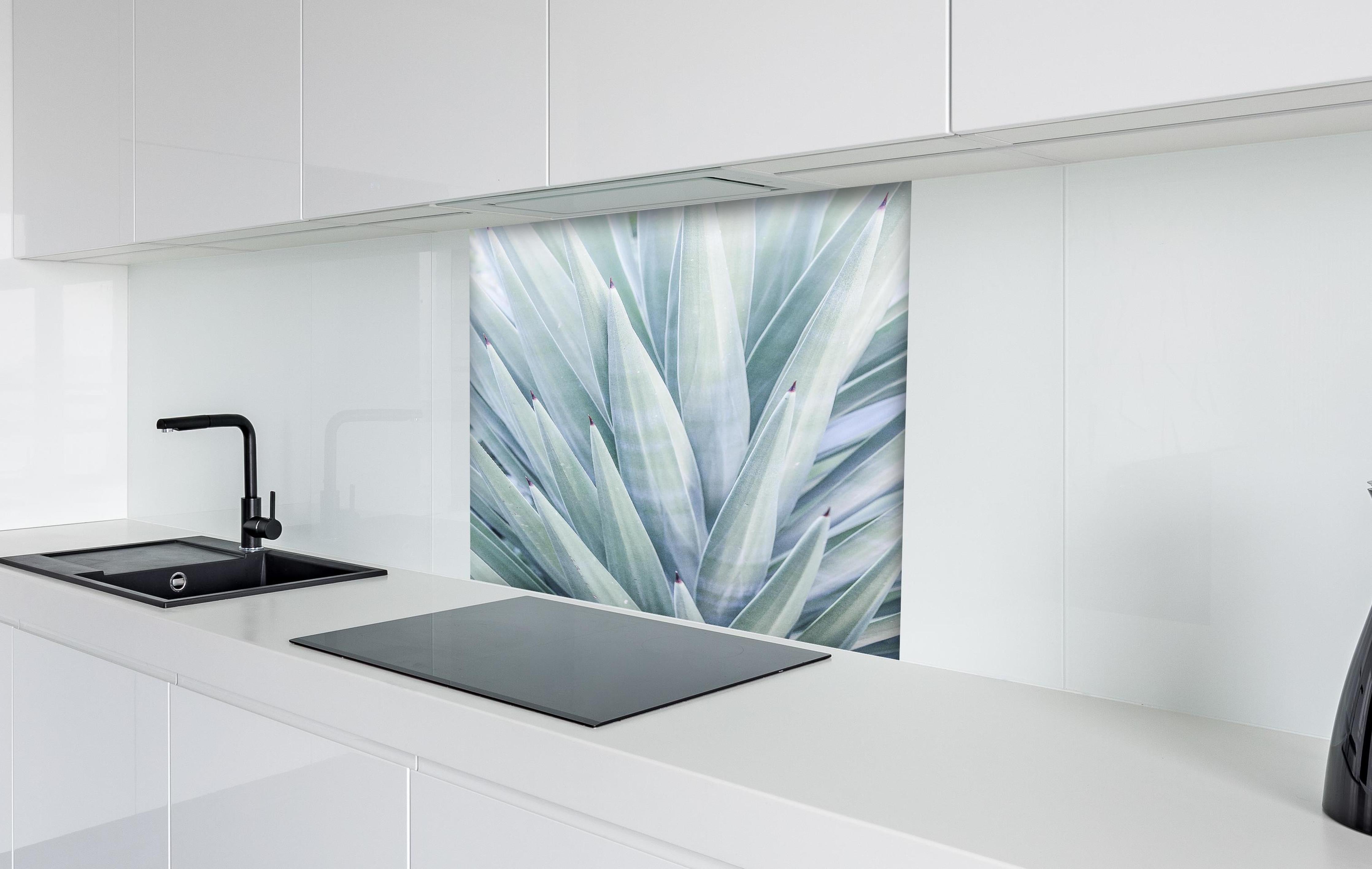 Spritzschutz - Detailreiche Grün-Töne Agaven Blatt-Textur hinter einem Cerankochfeld zwischen Holz-Kochutensilien