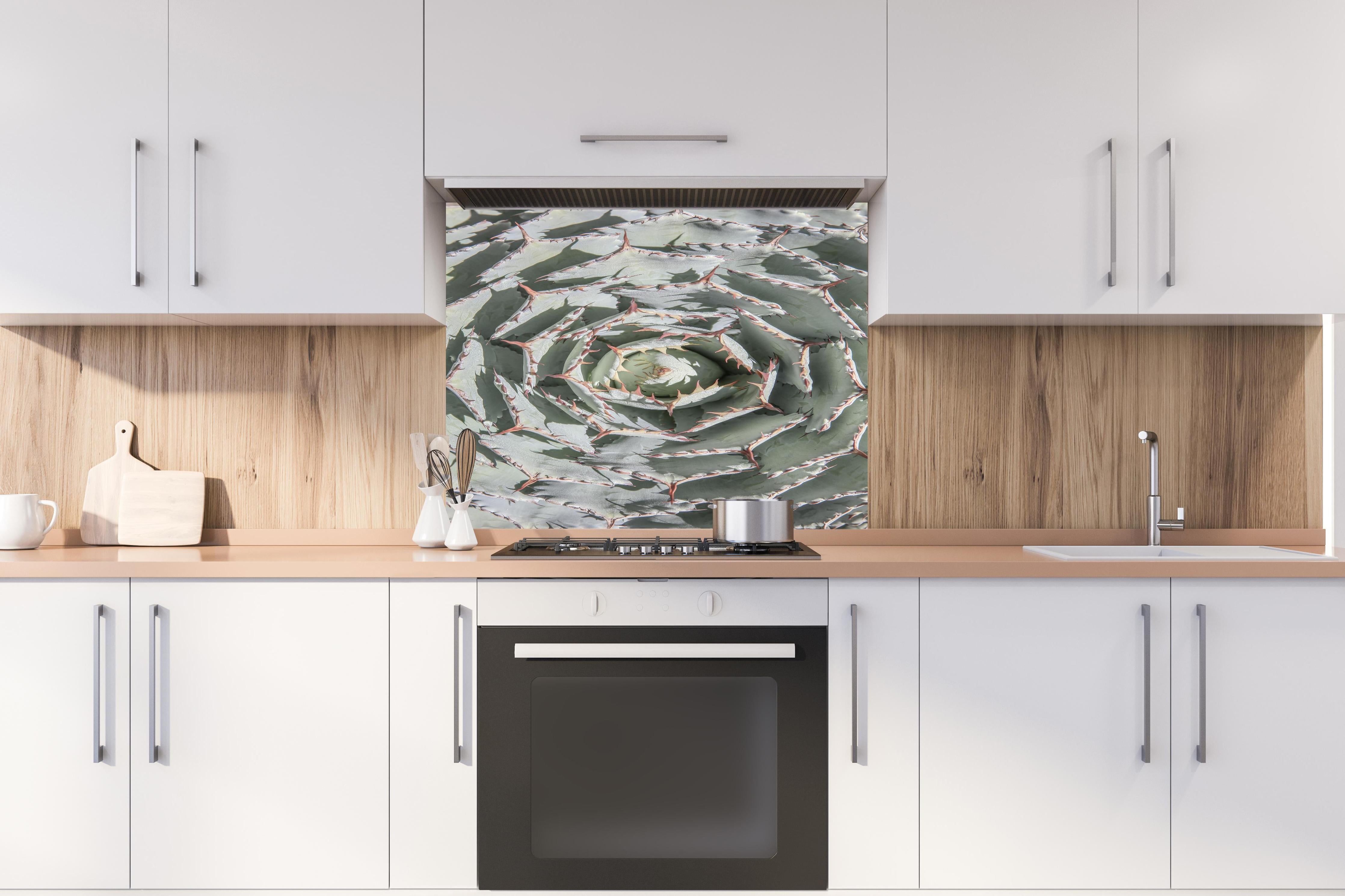 Spritzschutz - Detailreiche Grüne Agaven-Pflanze von oben hinter einem Cerankochfeld zwischen Holz-Kochutensilien