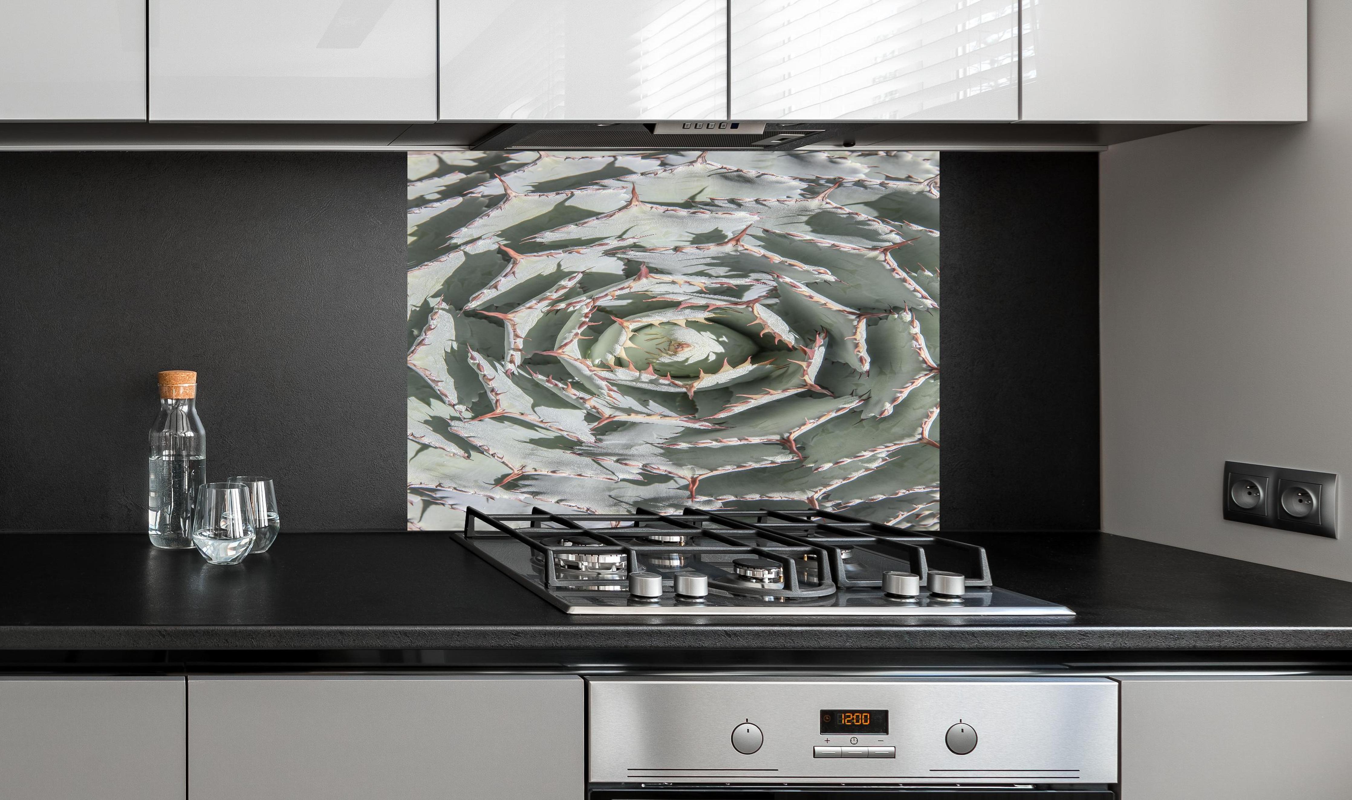 Spritzschutz - Detailreiche Grüne Agaven-Pflanze von oben hinter einem Cerankochfeld zwischen Holz-Kochutensilien