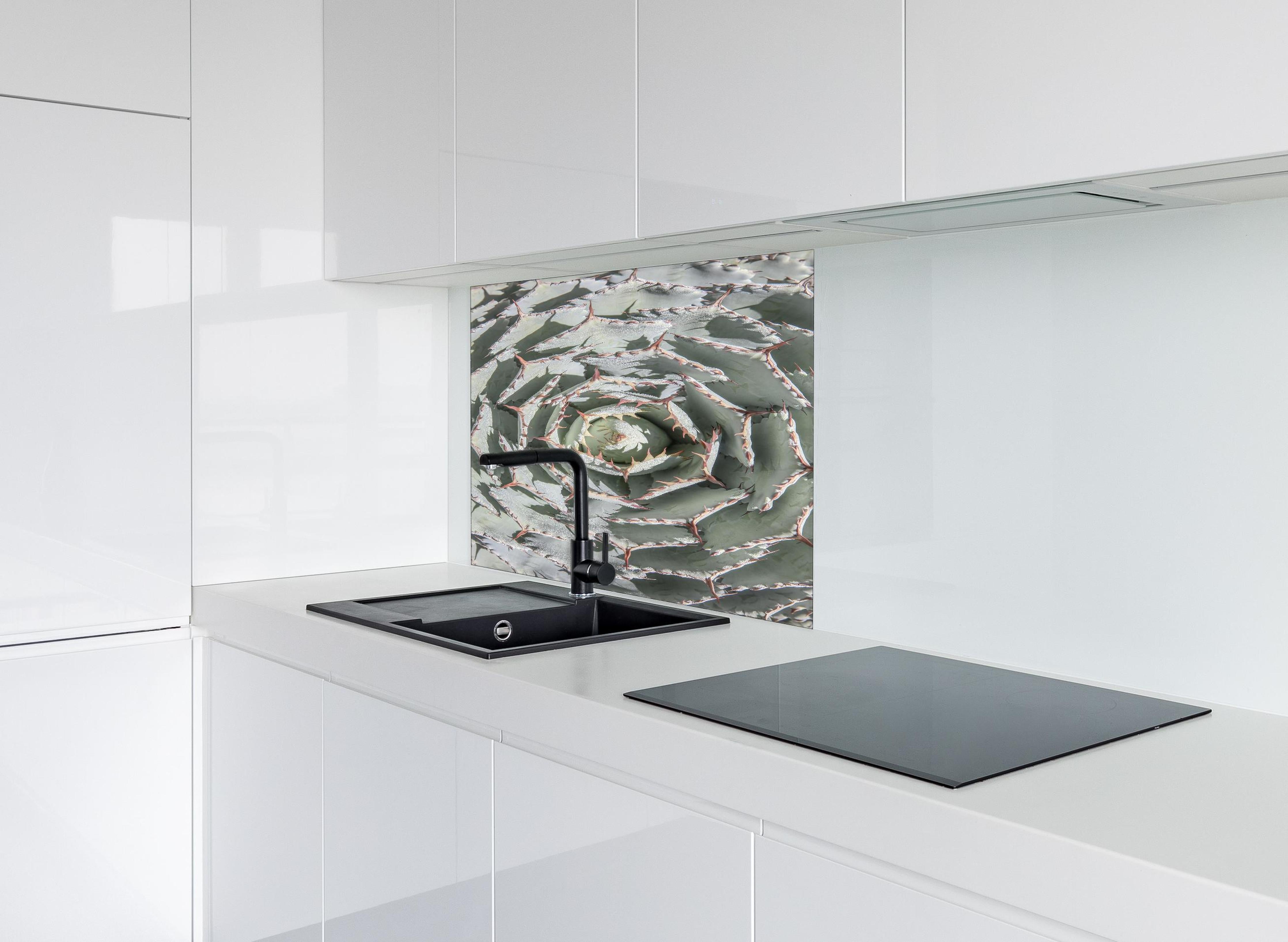 Spritzschutz - Detailreiche Grüne Agaven-Pflanze von oben hinter einem Cerankochfeld zwischen Holz-Kochutensilien