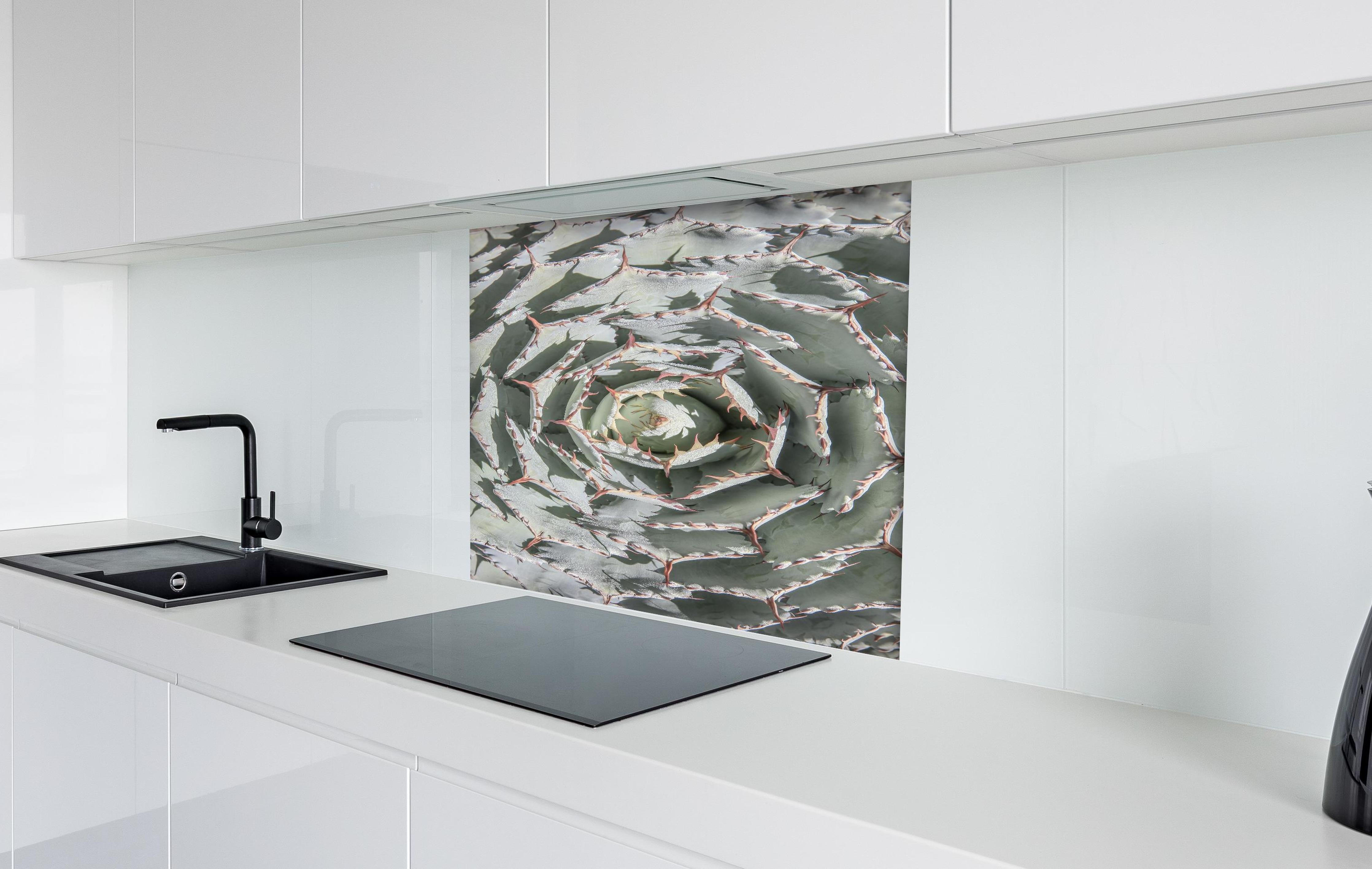 Spritzschutz - Detailreiche Grüne Agaven-Pflanze von oben hinter einem Cerankochfeld zwischen Holz-Kochutensilien