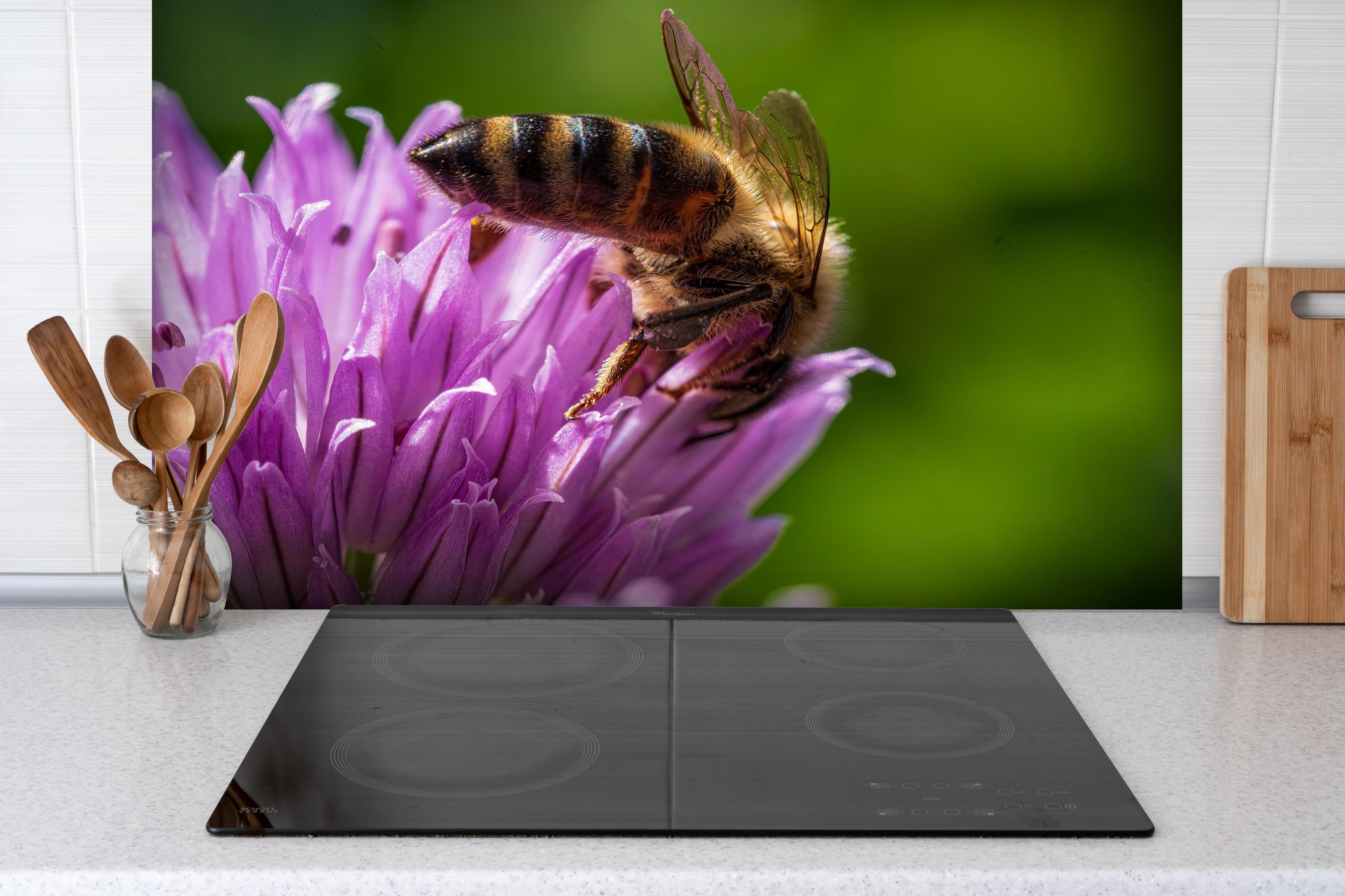 Spritzschutz - Detailreiche Makroaufnahme Biene Lila Blüte hinter einem Cerankochfeld zwischen Holz-Kochutensilien