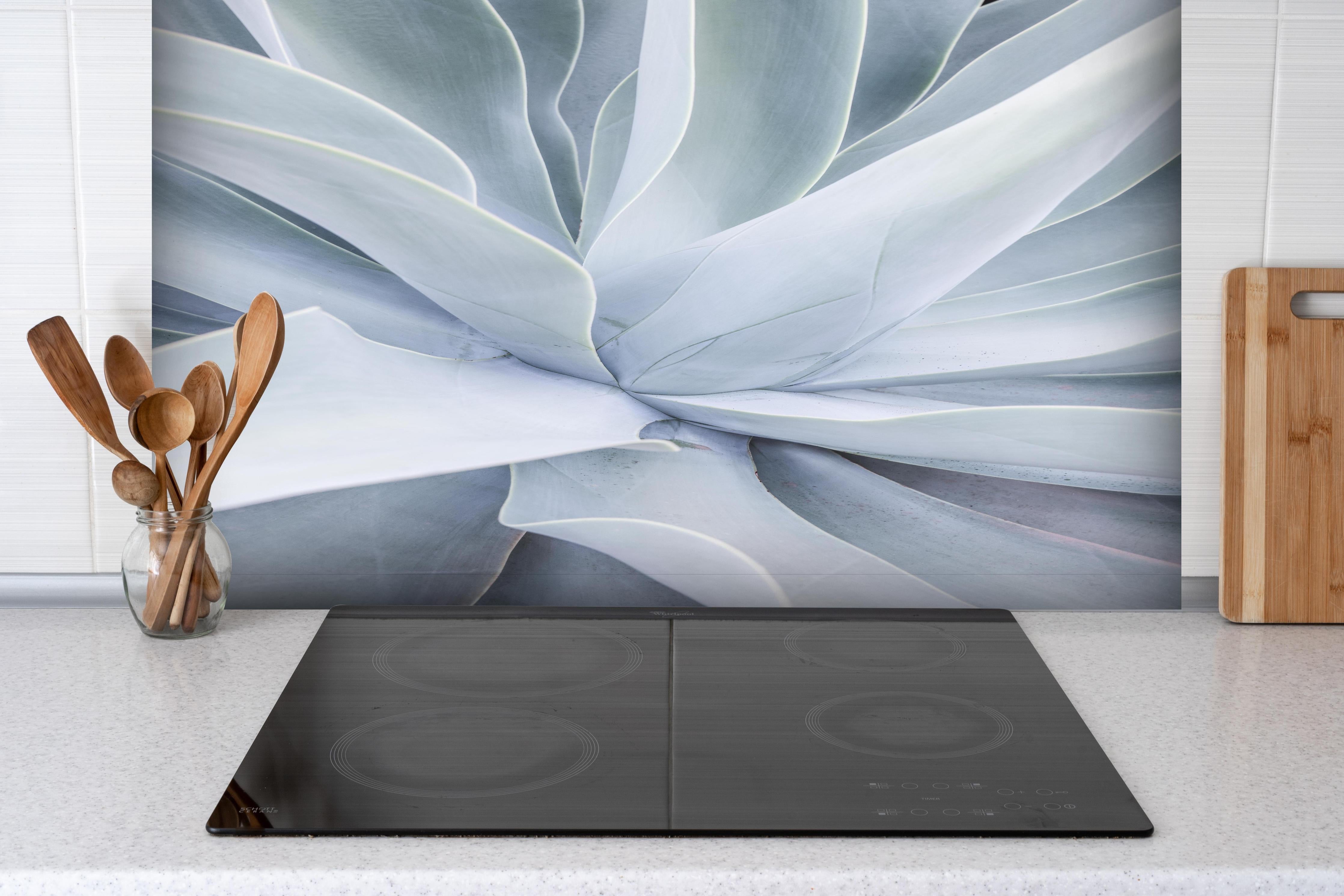 Spritzschutz - Detailreiche Mintgrüne Sukkulenten-Textur hinter einem Cerankochfeld zwischen Holz-Kochutensilien