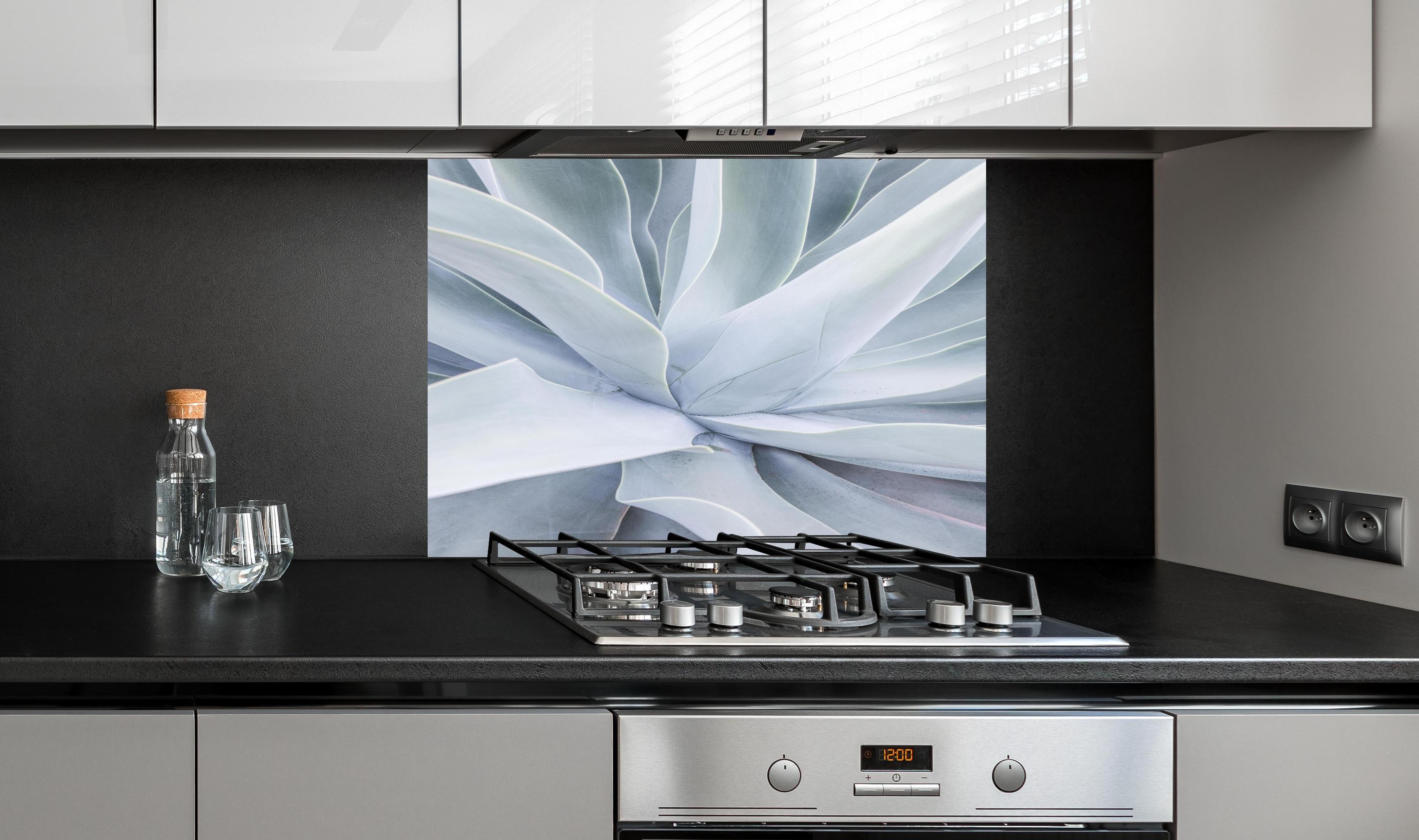 Spritzschutz - Detailreiche Mintgrüne Sukkulenten-Textur hinter einem Cerankochfeld zwischen Holz-Kochutensilien