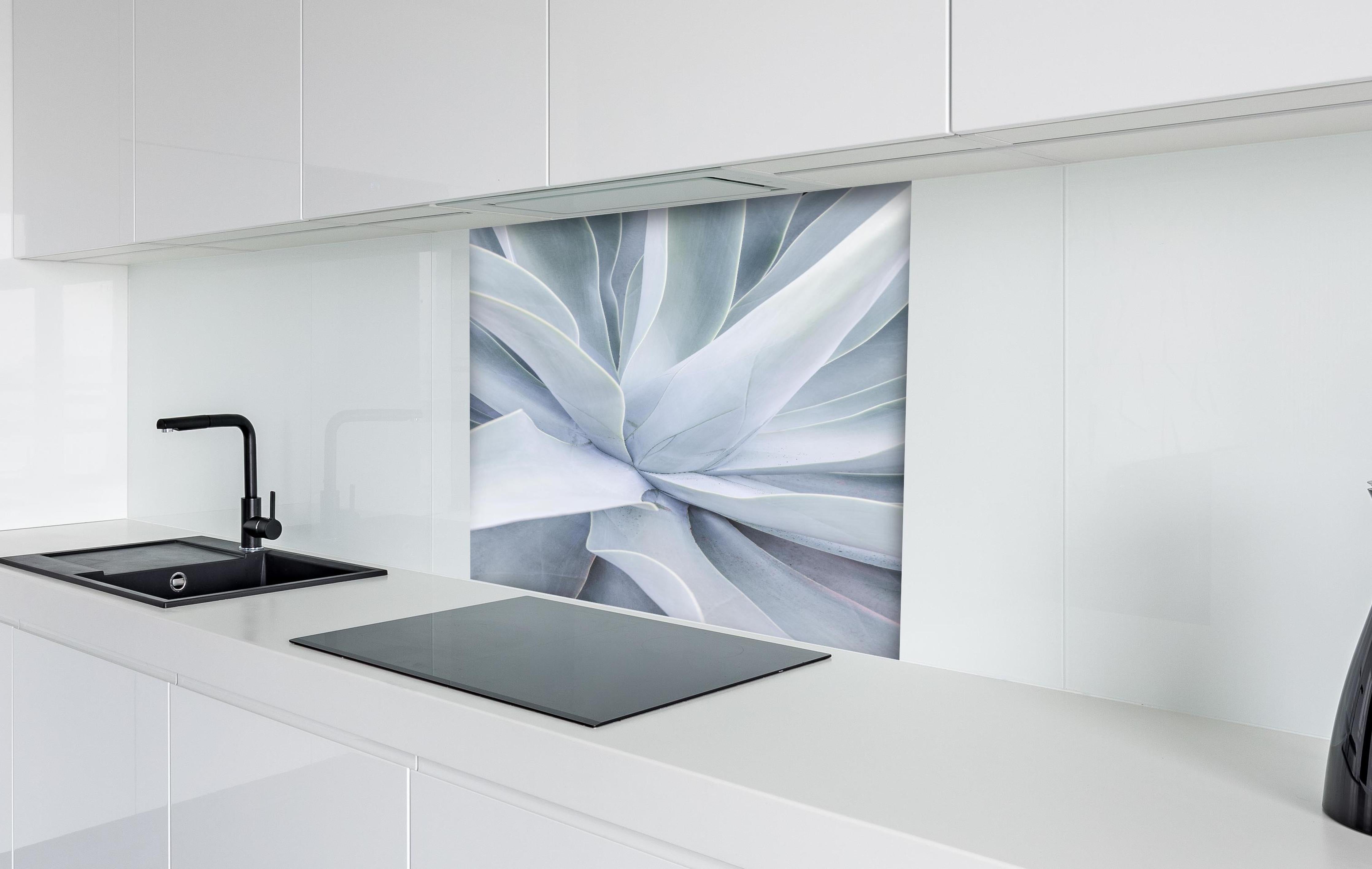 Spritzschutz - Detailreiche Mintgrüne Sukkulenten-Textur hinter einem Cerankochfeld zwischen Holz-Kochutensilien