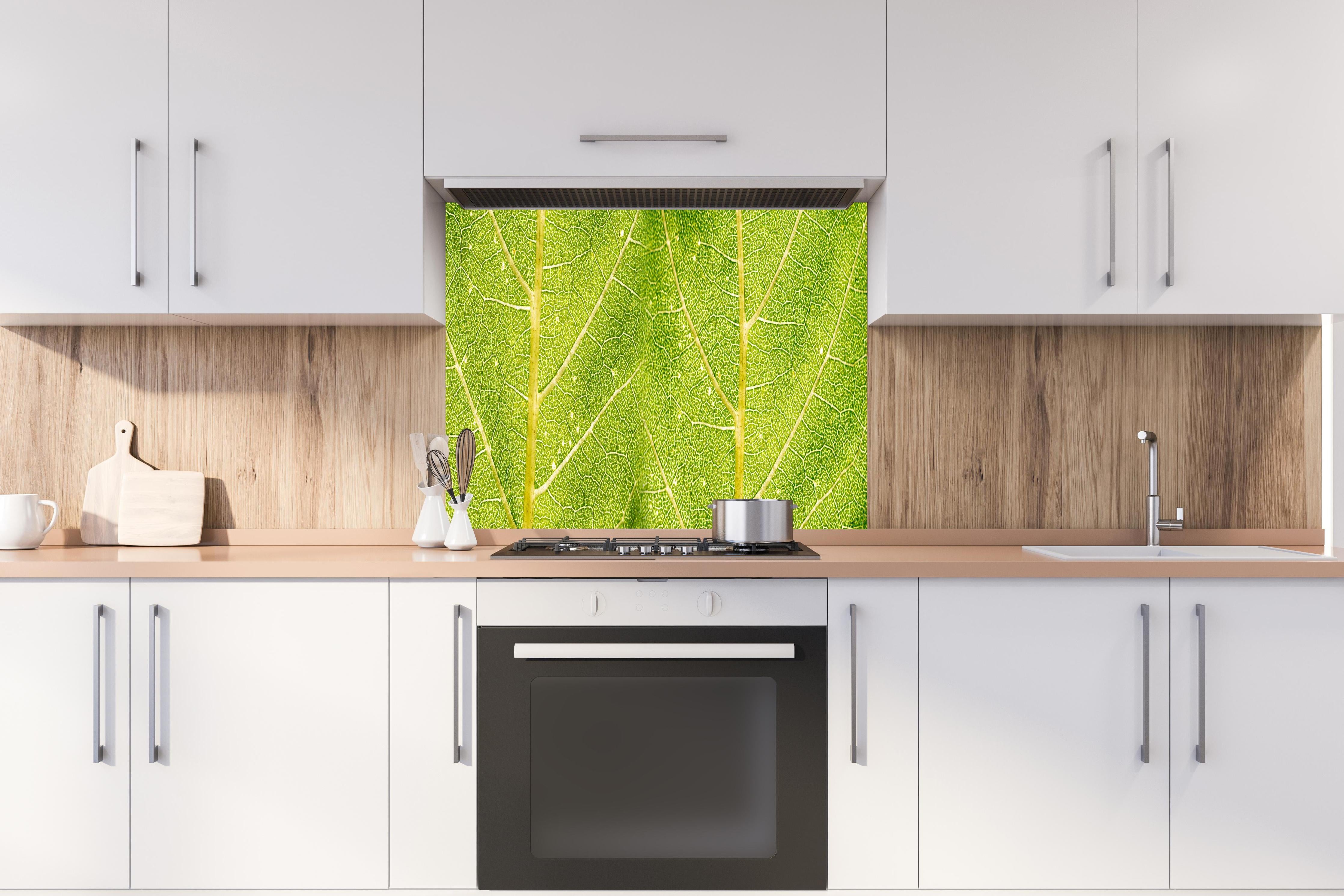 Spritzschutz - Detailreiche Nahaufnahme grüner Blattstruktur hinter einem Cerankochfeld zwischen Holz-Kochutensilien