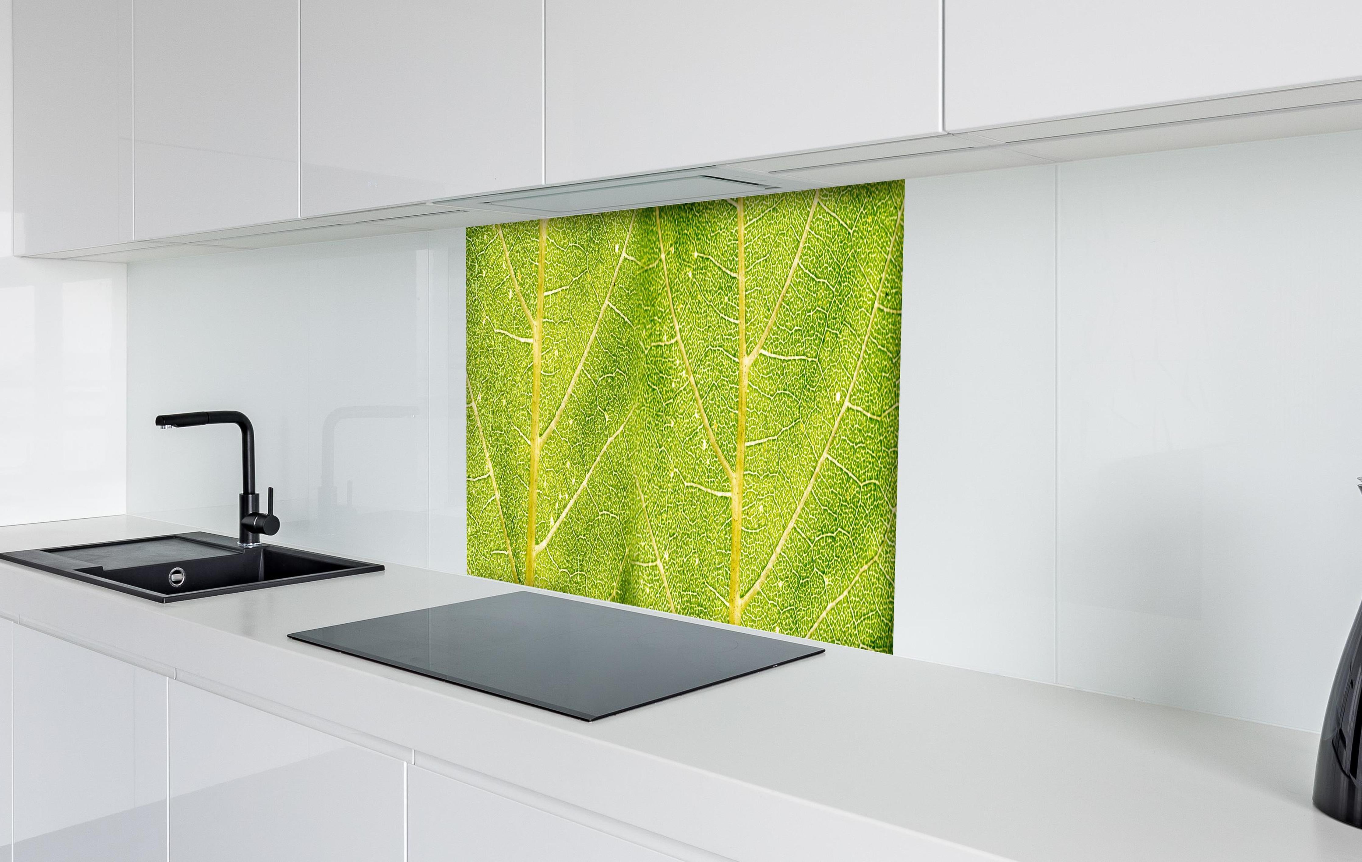 Spritzschutz - Detailreiche Nahaufnahme grüner Blattstruktur hinter einem Cerankochfeld zwischen Holz-Kochutensilien