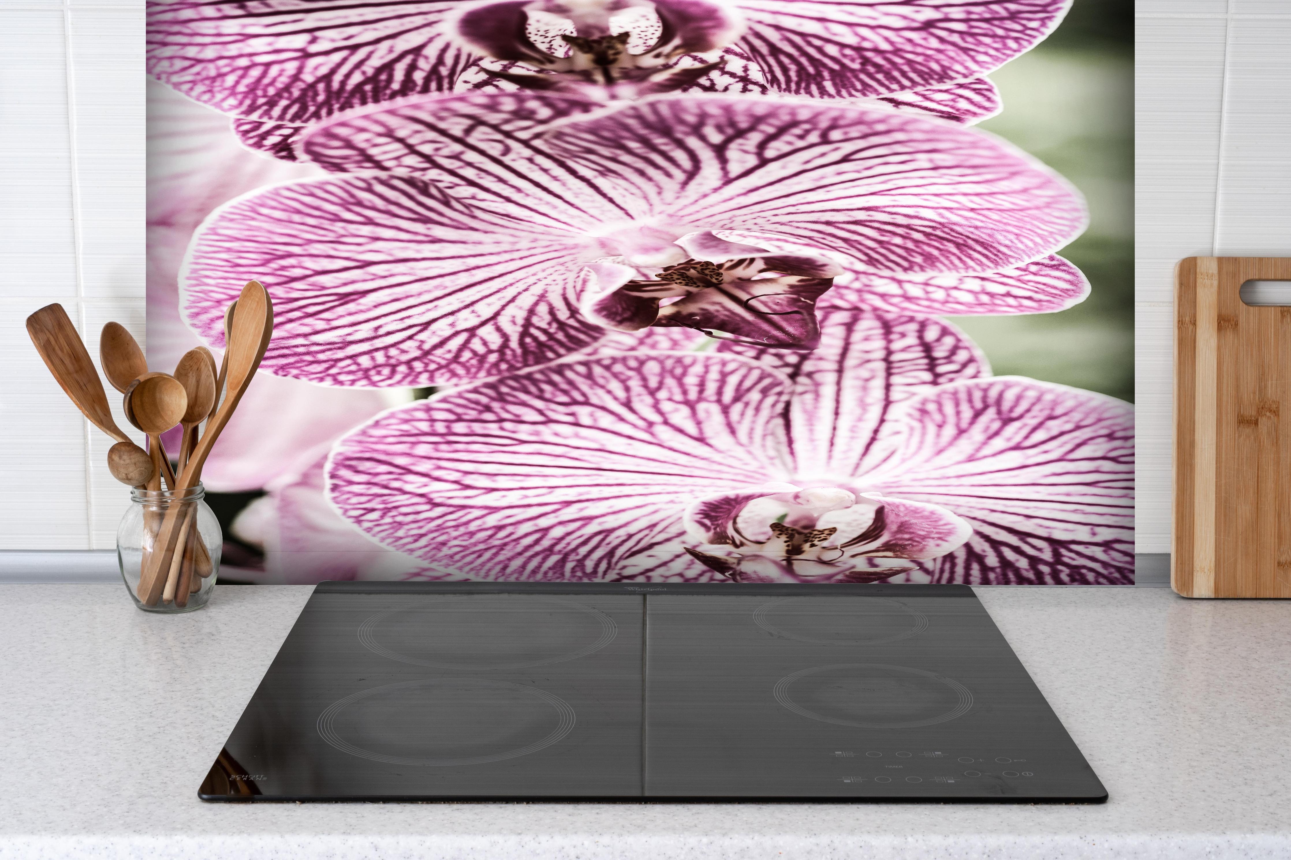 Spritzschutz - Detailreiche Orchideen Makroaufnahme in Pink-Lila hinter einem Cerankochfeld zwischen Holz-Kochutensilien
