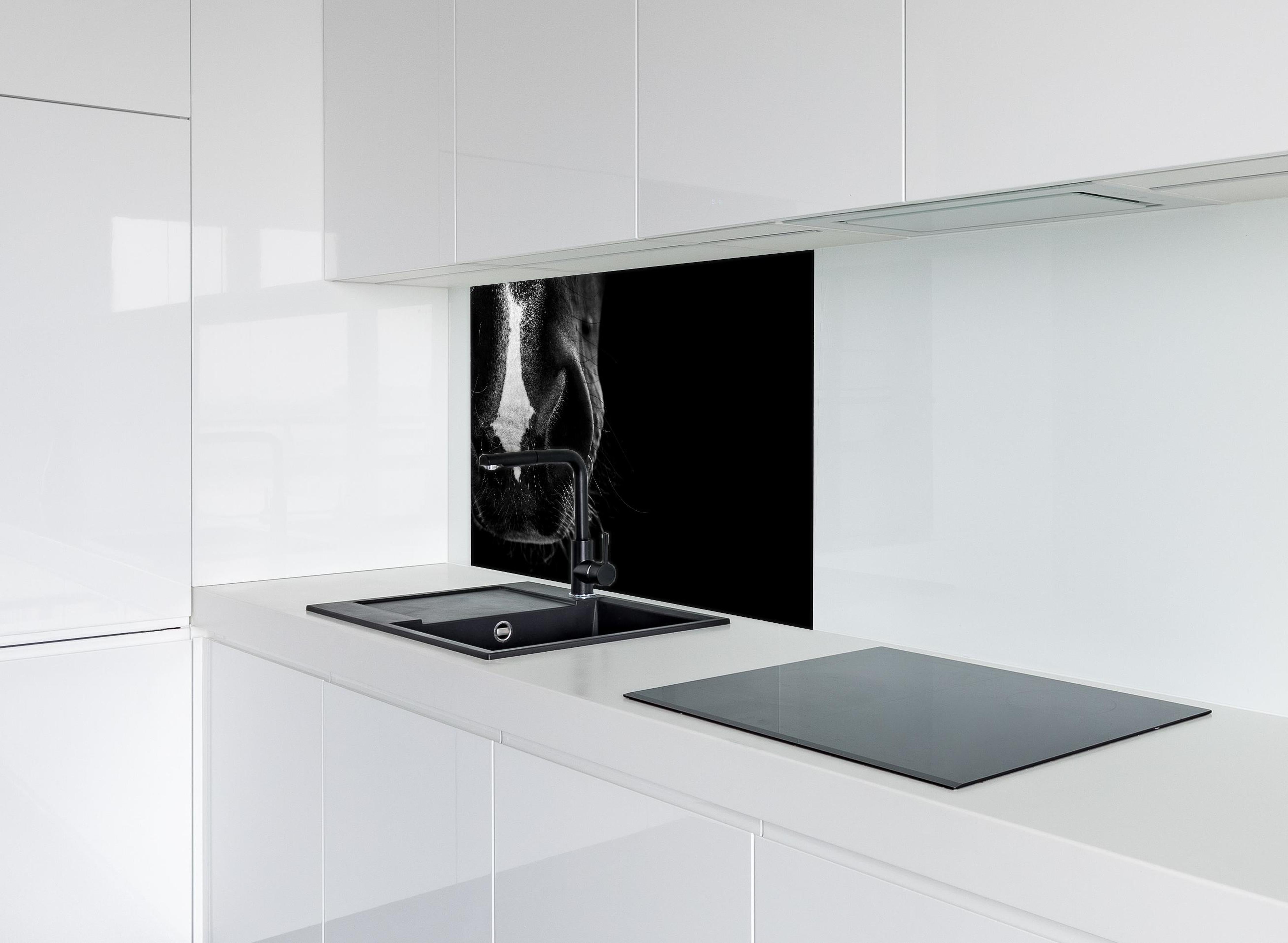 Spritzschutz - Detailreiche Pferdenase in Schwarz-Weiß hinter einem Cerankochfeld zwischen Holz-Kochutensilien