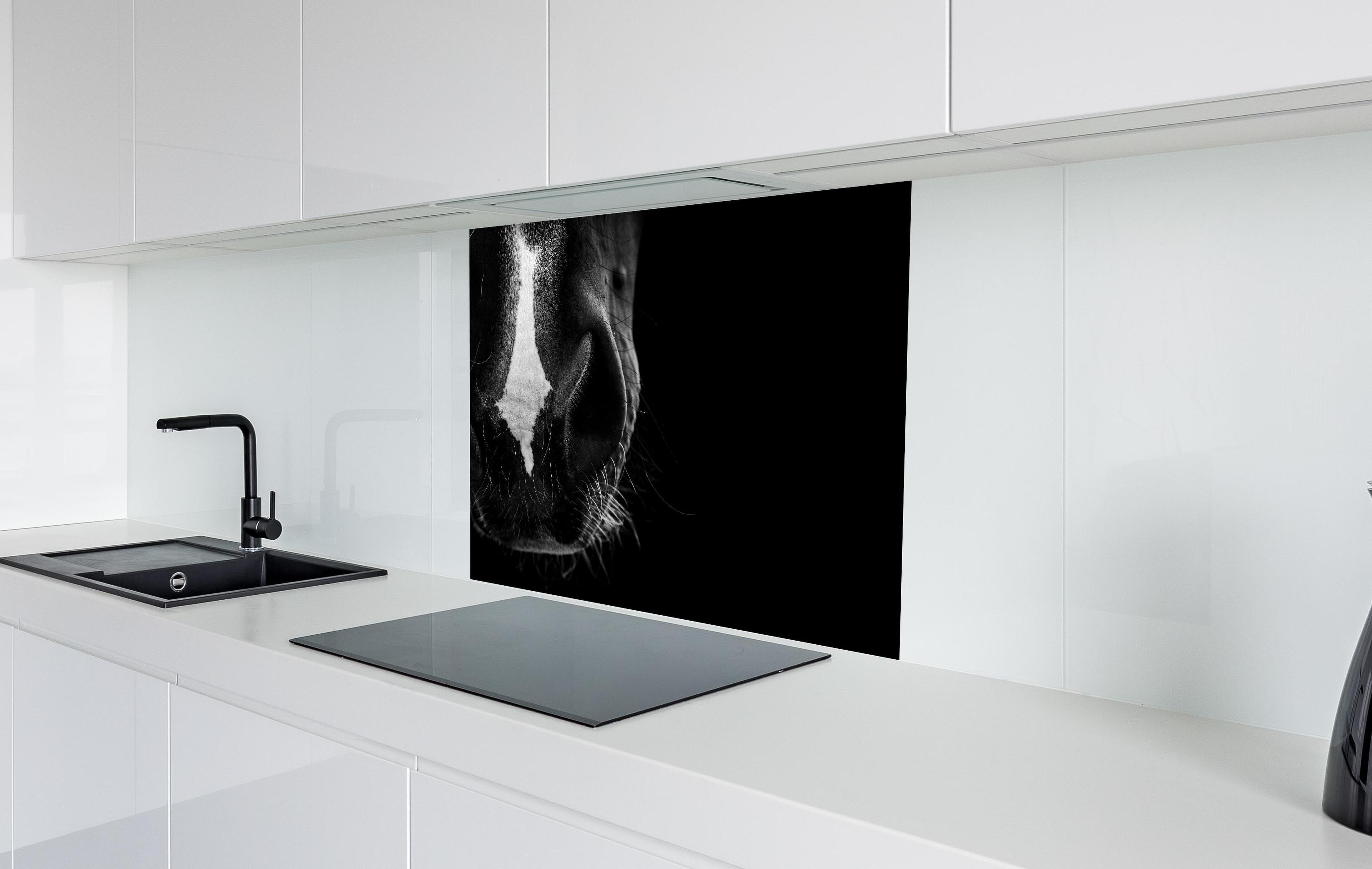 Spritzschutz - Detailreiche Pferdenase in Schwarz-Weiß hinter einem Cerankochfeld zwischen Holz-Kochutensilien