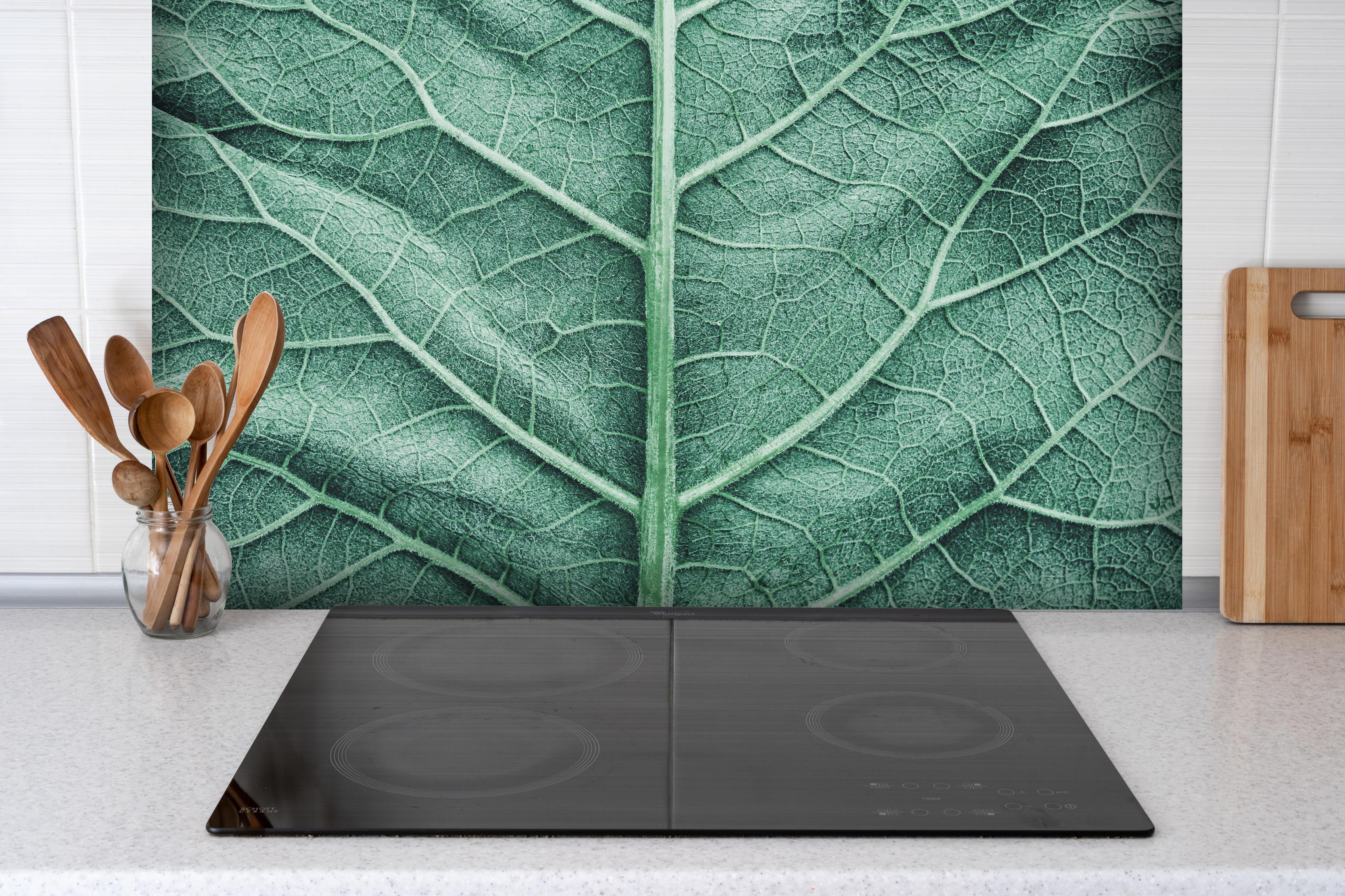 Spritzschutz - Detailreiche grüne Klettenblatt Makroaufnahme hinter einem Cerankochfeld zwischen Holz-Kochutensilien